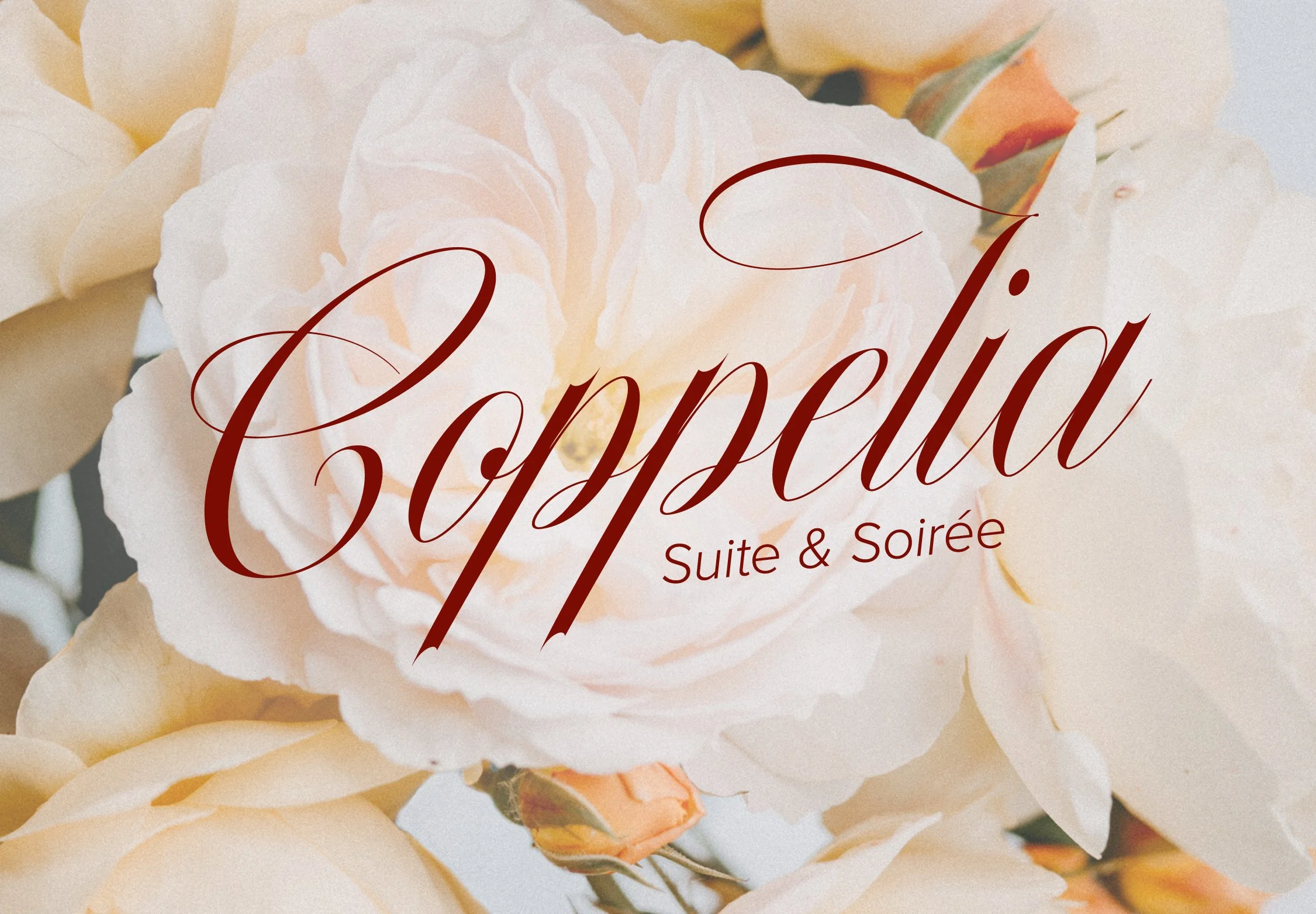 Coppelia Suite & Soirée