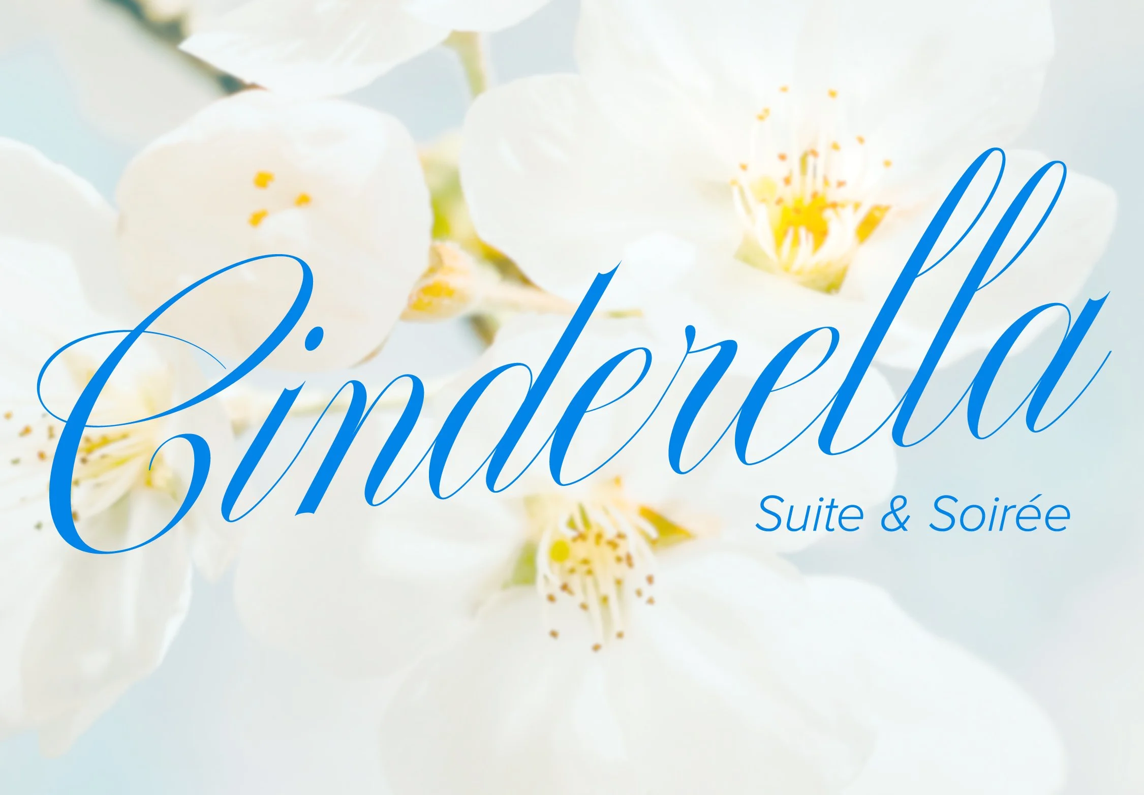 Cinderella Suite & Soirée