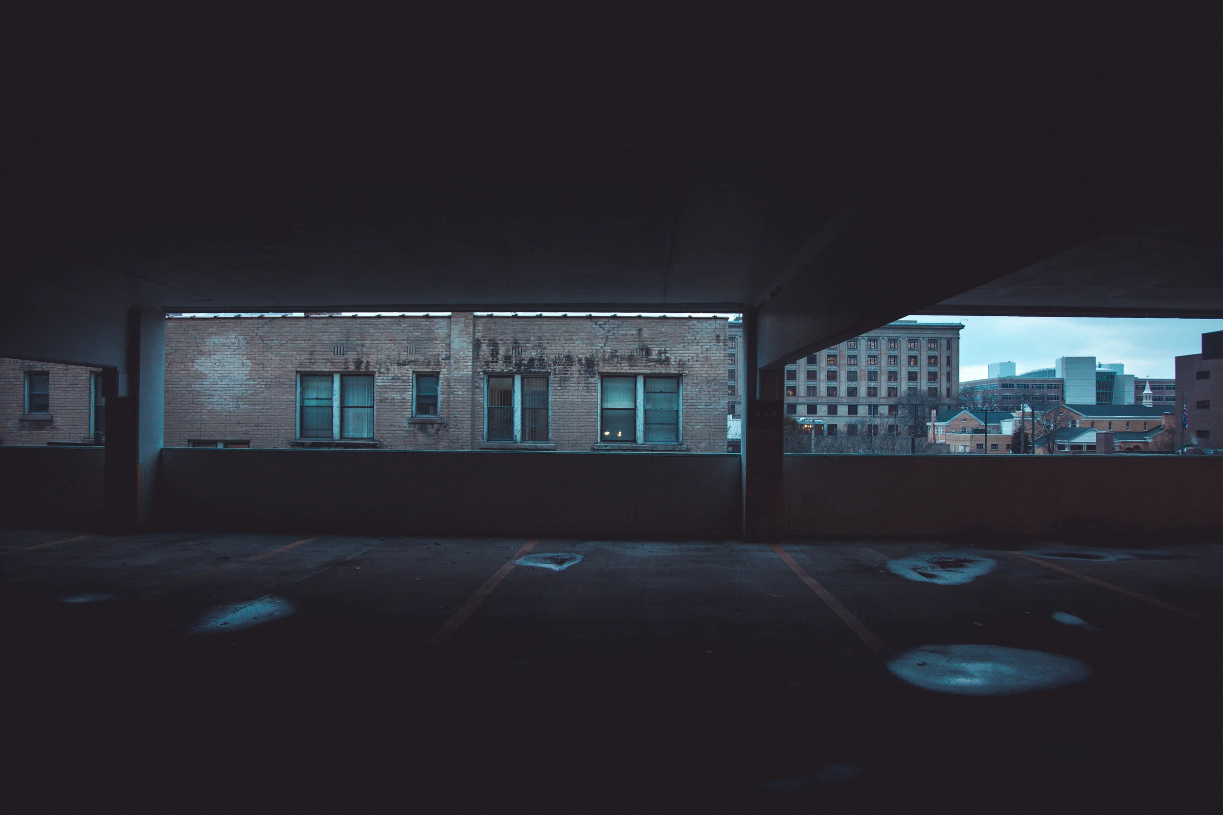 Bush - parking-7.jpg