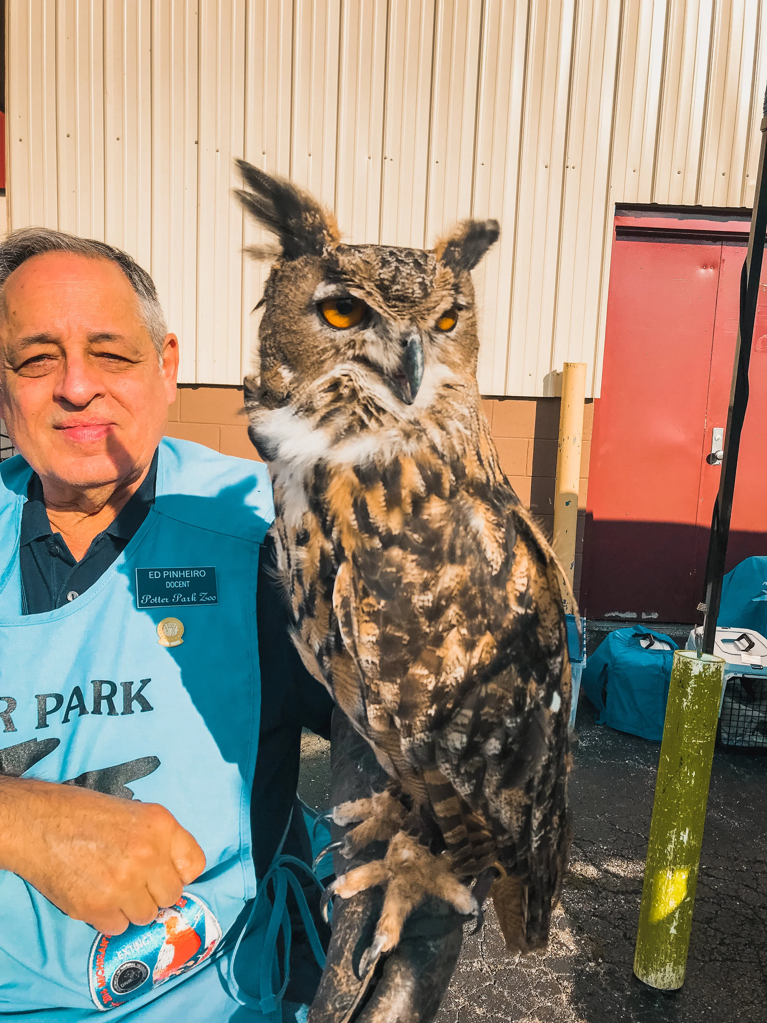 Writing: Friendship + Owl