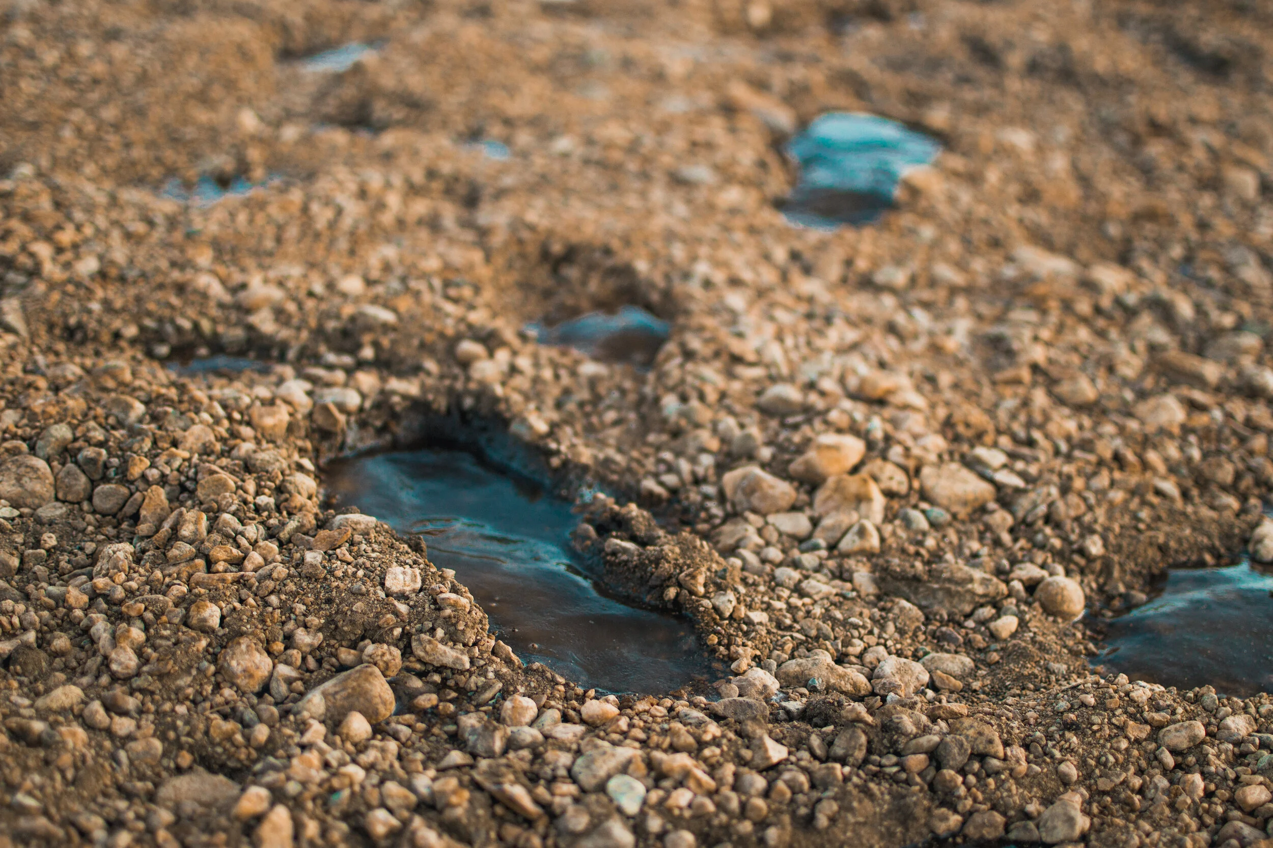 nicolebushmedia-nederland-ice