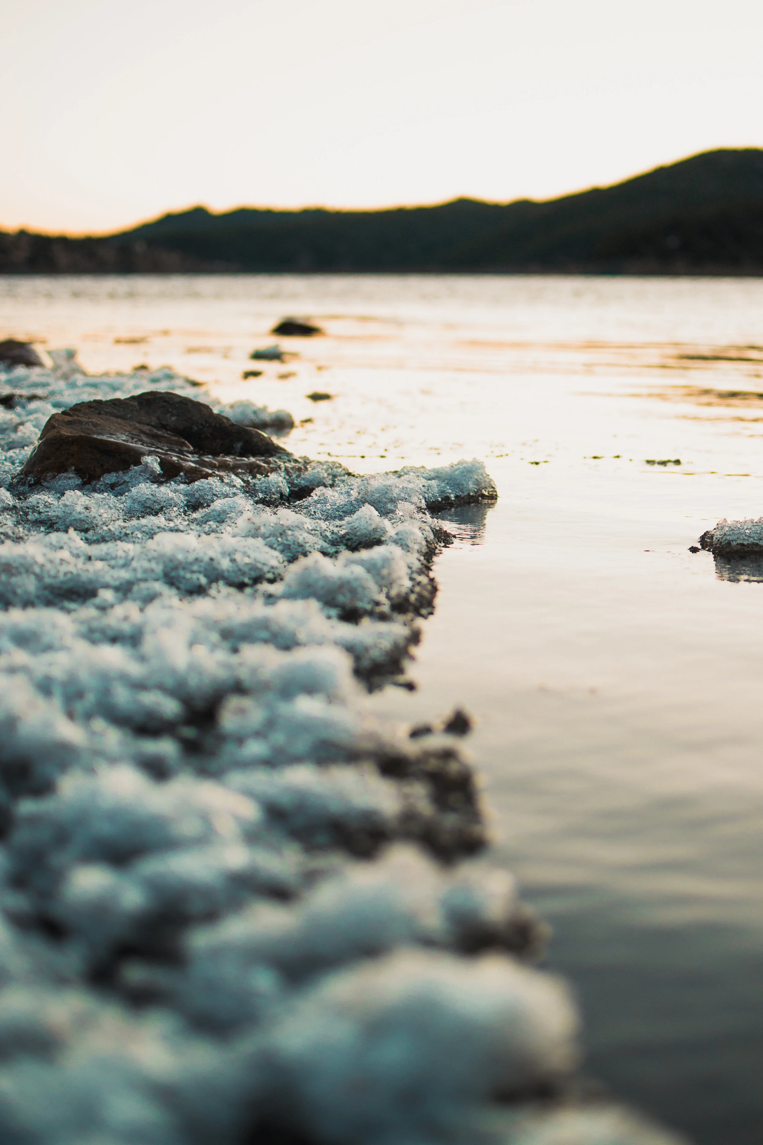 nicolebushmedia-nederland-ice