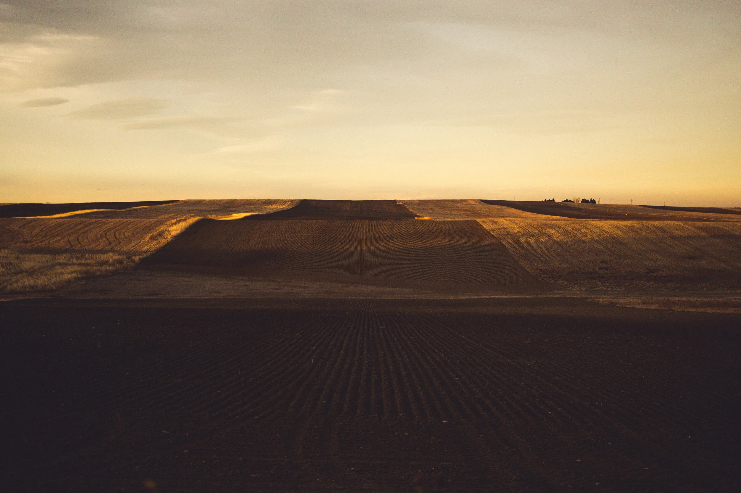 nicolebushmedia-farm-fields
