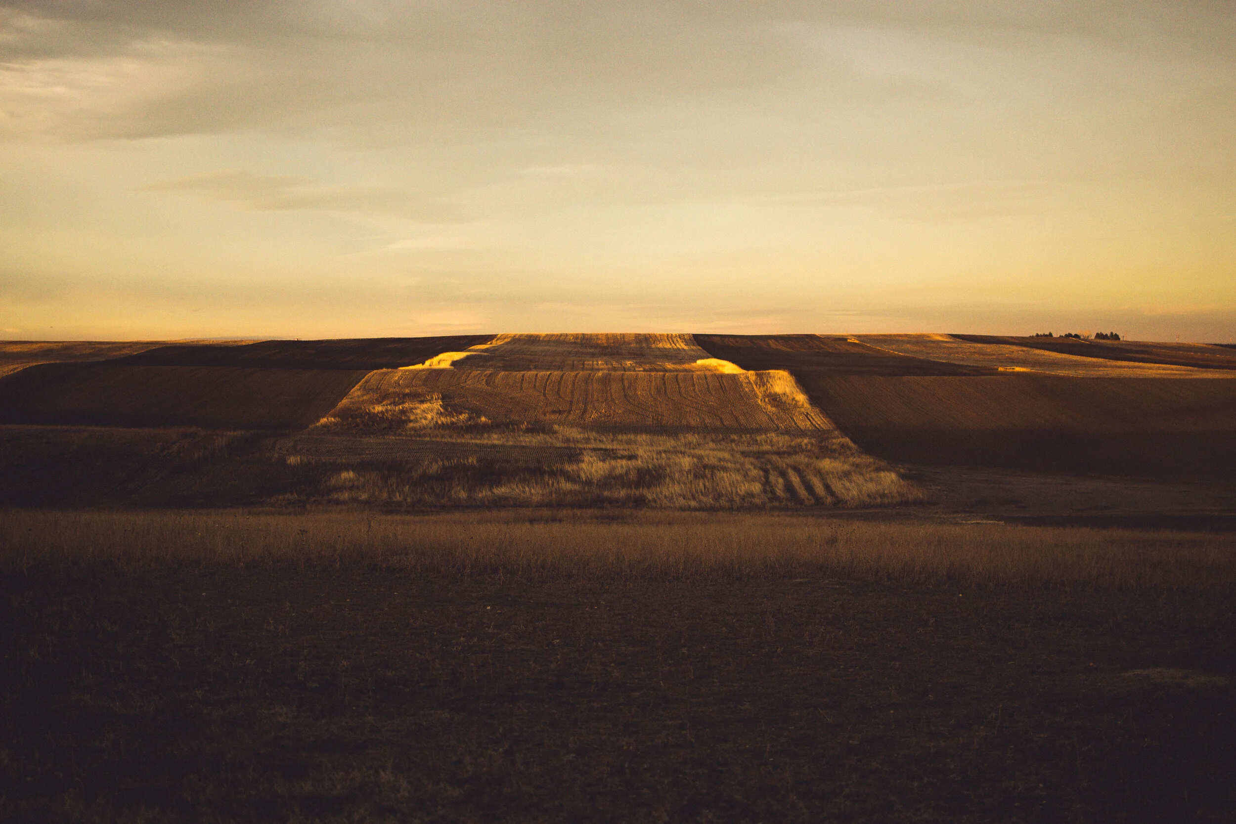 nicolebushmedia-farm-field