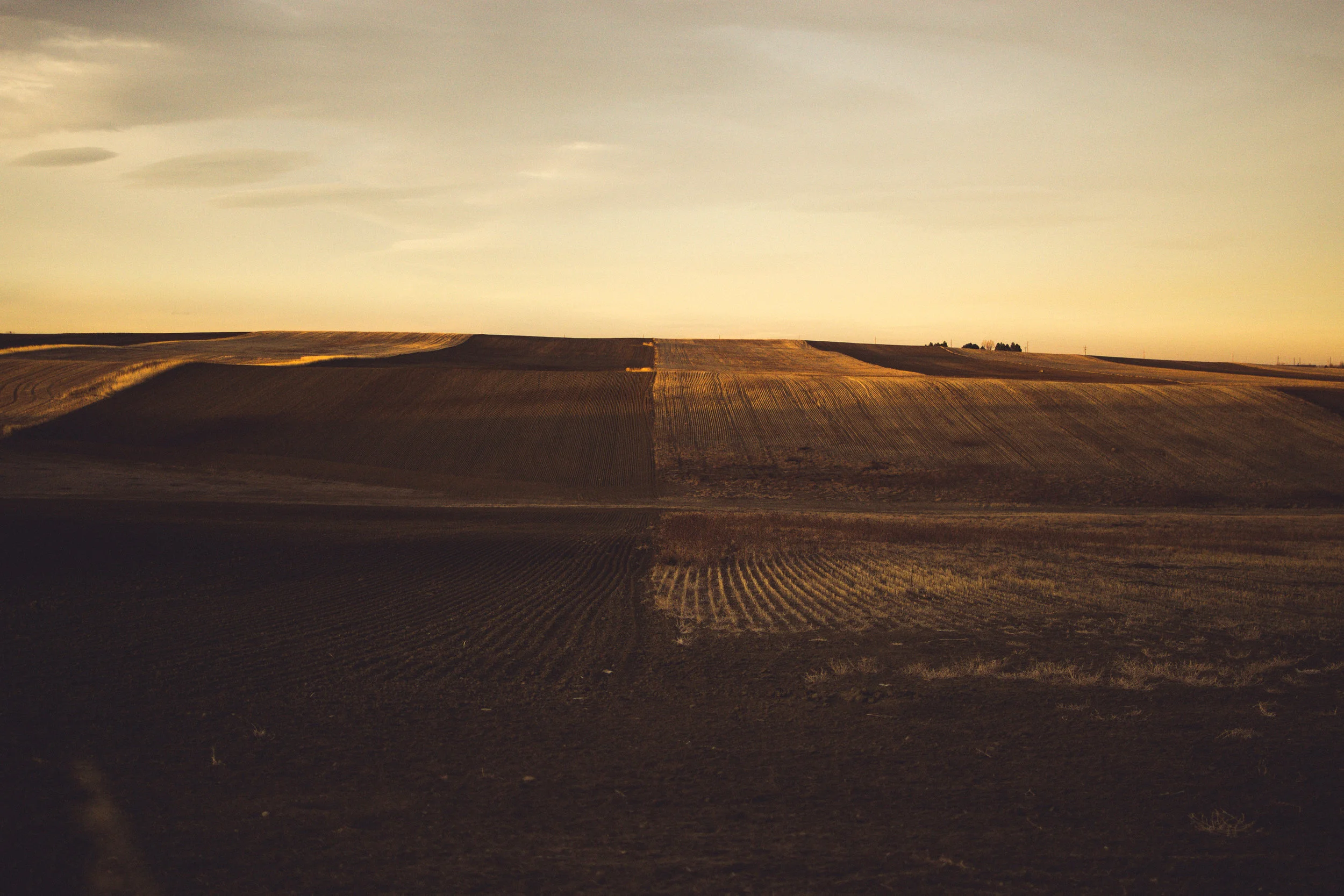 Photography: Farm Fields in Colorado