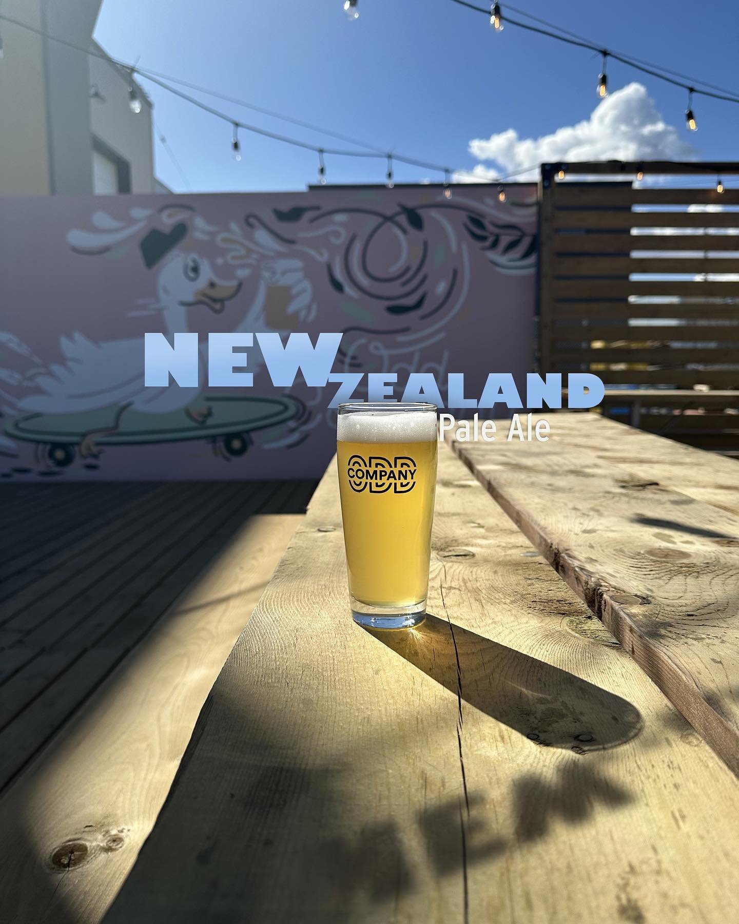 WHY DID THE CUTE KIWI-SHAPED/NAMED BIRD CROSS THE ROAD? 🥝 

Because it&rsquo;s Odd Company and we have a patio and it&rsquo;s nice and we have a new beer👇👇👇

🍺 New Zealand Pale Ale &bull; 250mL | 500mL | Howlers | Growlers &bull; Both Locations?