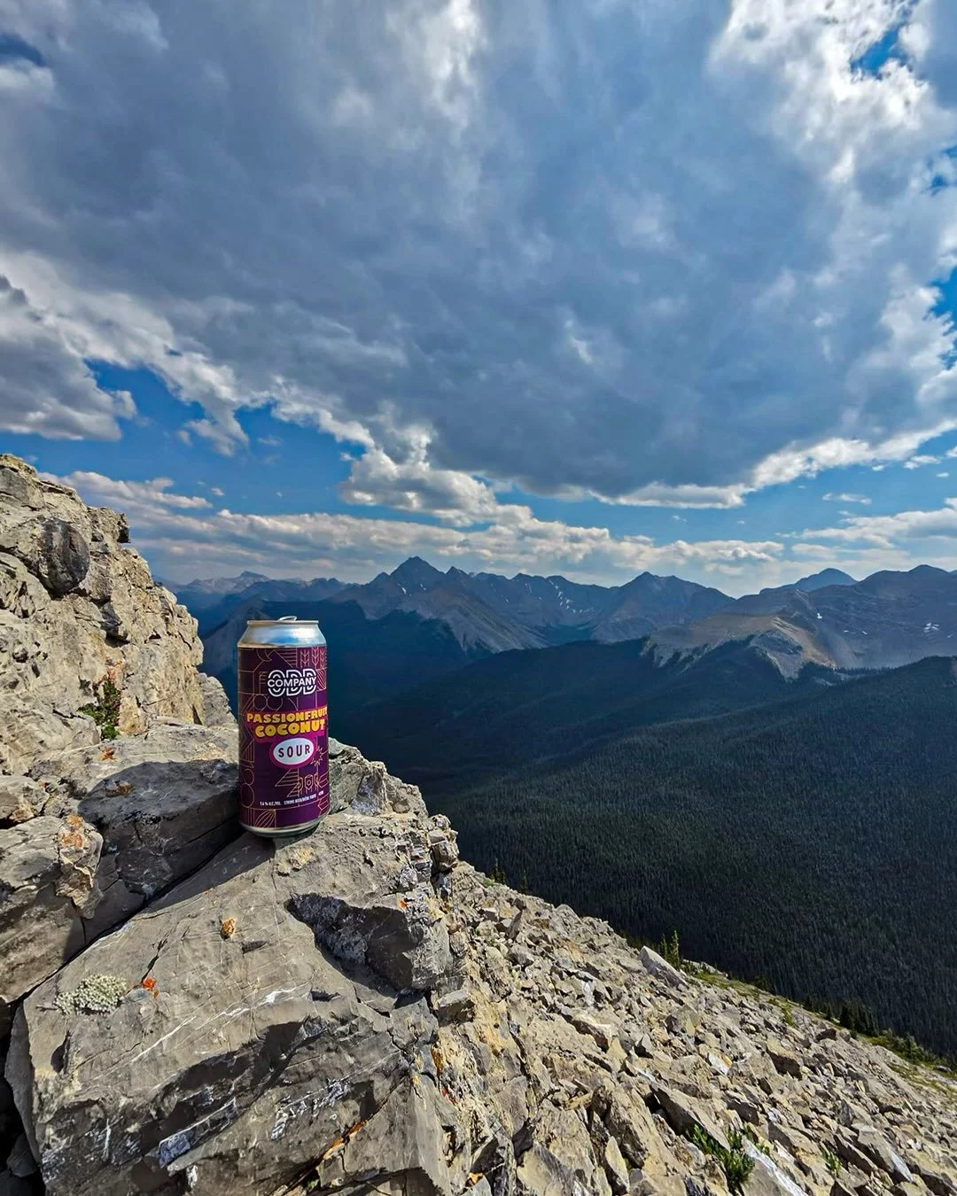 The perfect view, elevated.

Here&rsquo;s to getting out there this weekend, Odd Ducks 🍻

#OddCompanyBrewing #StayODD #CraftBeer #ODDOverOrdinary #Uppies 🏔️ 

P.S. Always haul a 4PK