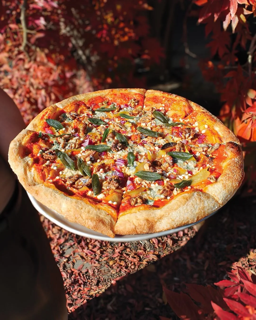 HELLOoo OCTOBER 🍂
 Crisp air. Crispy sage on pizza. Crispy boys.
All found at ODD Company Ritchie!

Two new features, October 1st:

🍕 ROASTED PUMPKIN PIZZA Roasted yellow pumpkin, blue cheese, goat cheese, roasted walnuts + crispy sage.
Rich, cream