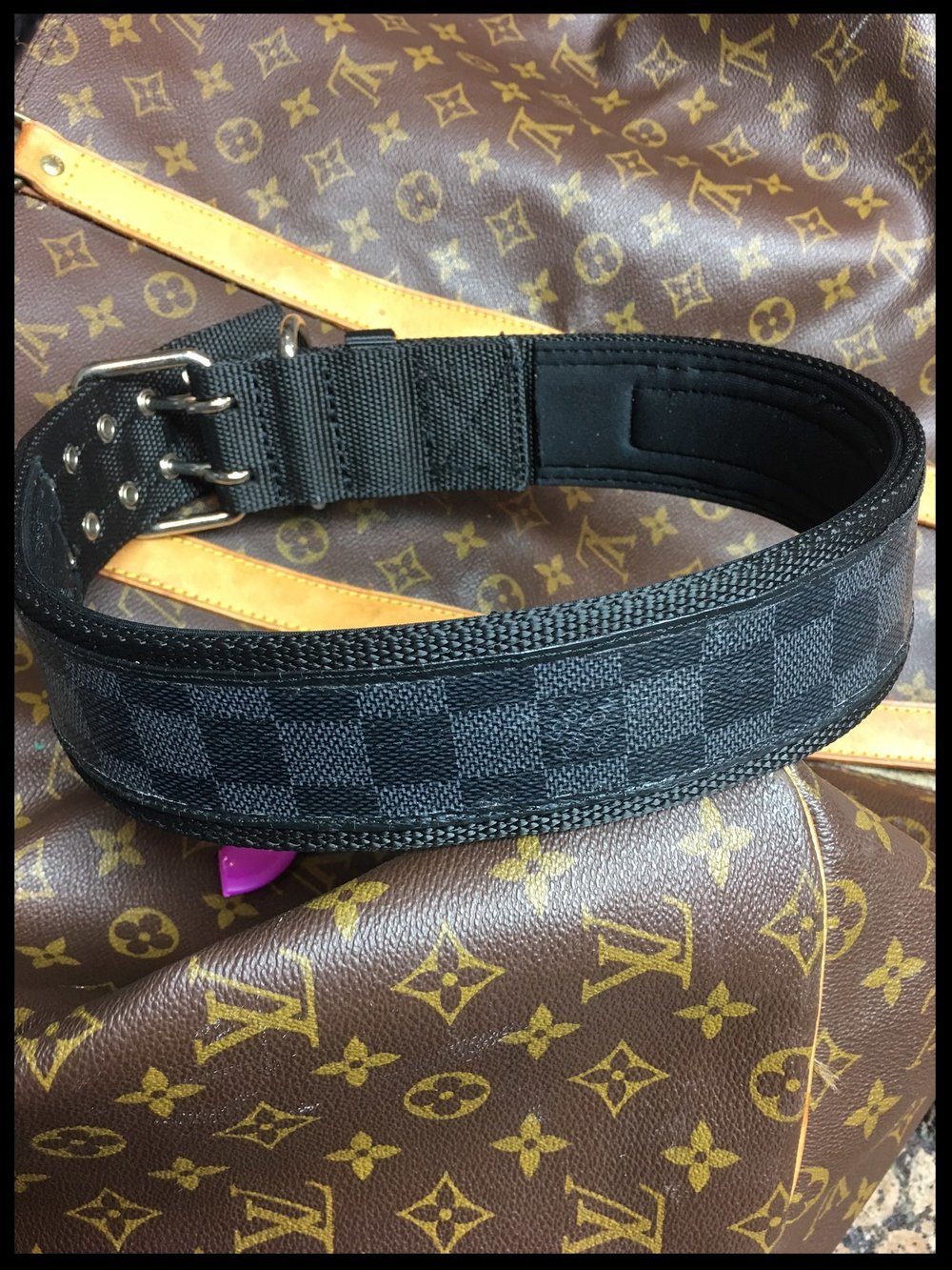 Louie - Engraved Leather Dog Collar