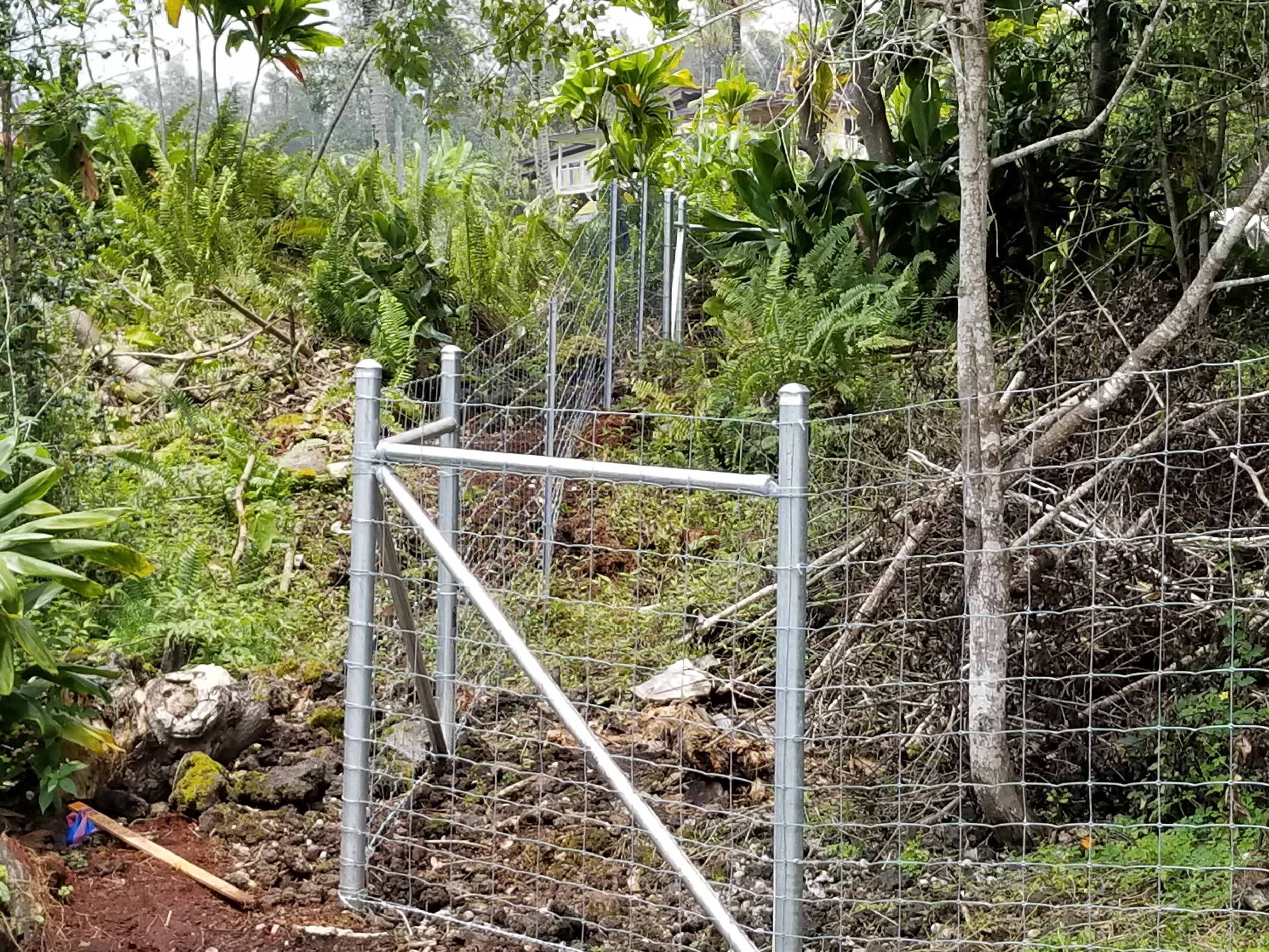 Ranch Style Field Fence with Metal Posts