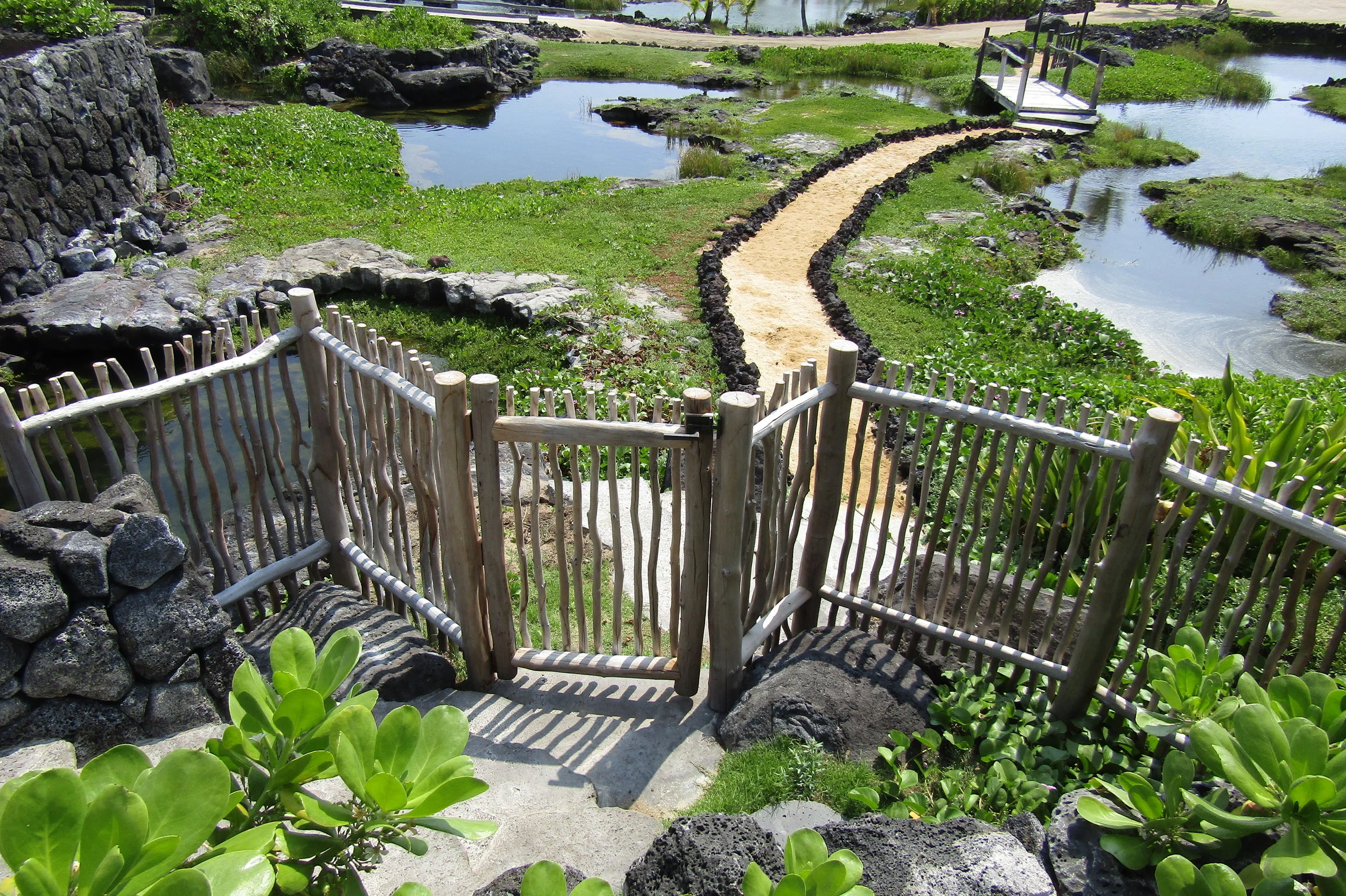 Fence & Gate to ponds.JPG