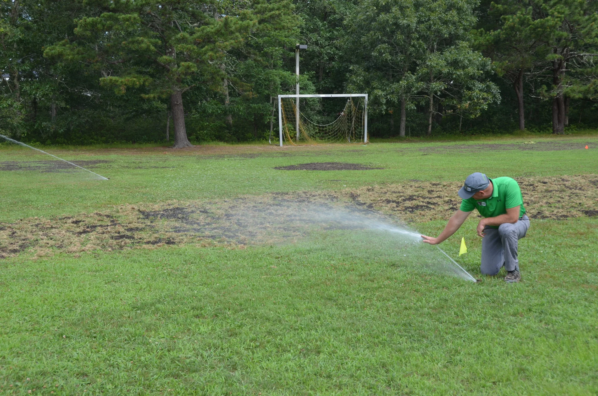 This Bermuda grass will be drought resistant but it likes to stay wet for the first two weeks