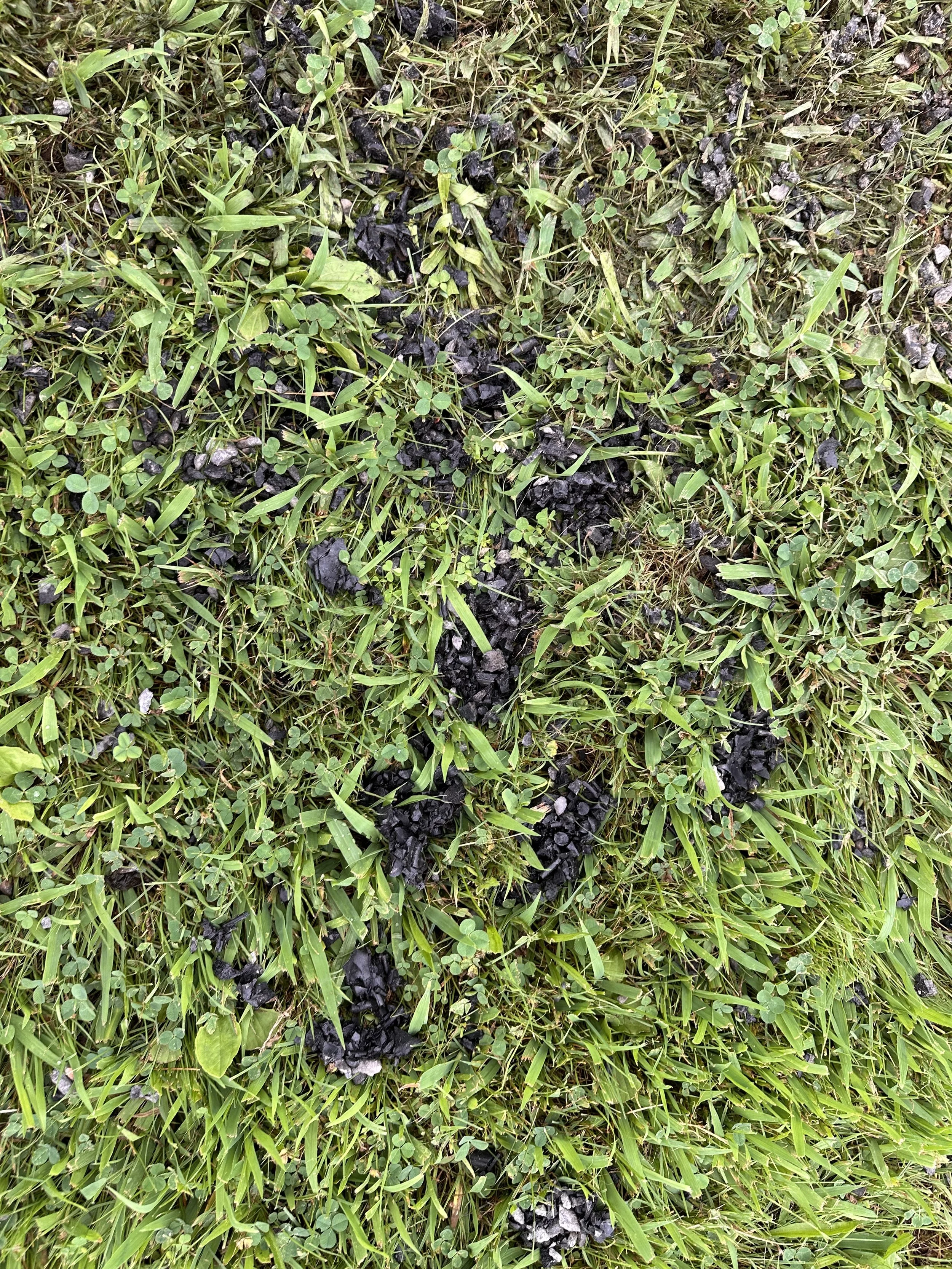 Some of the automotive waste that had migrated from the playground surface