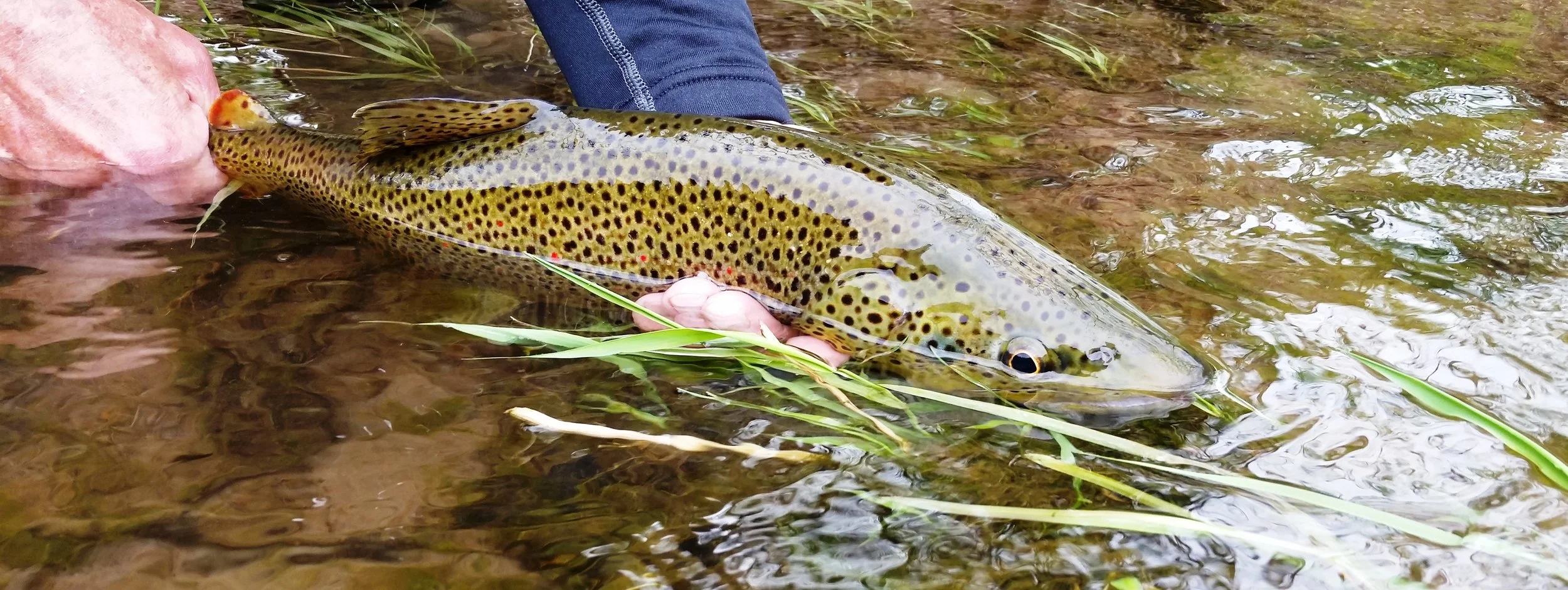 Fishing — ROSCOE, NY