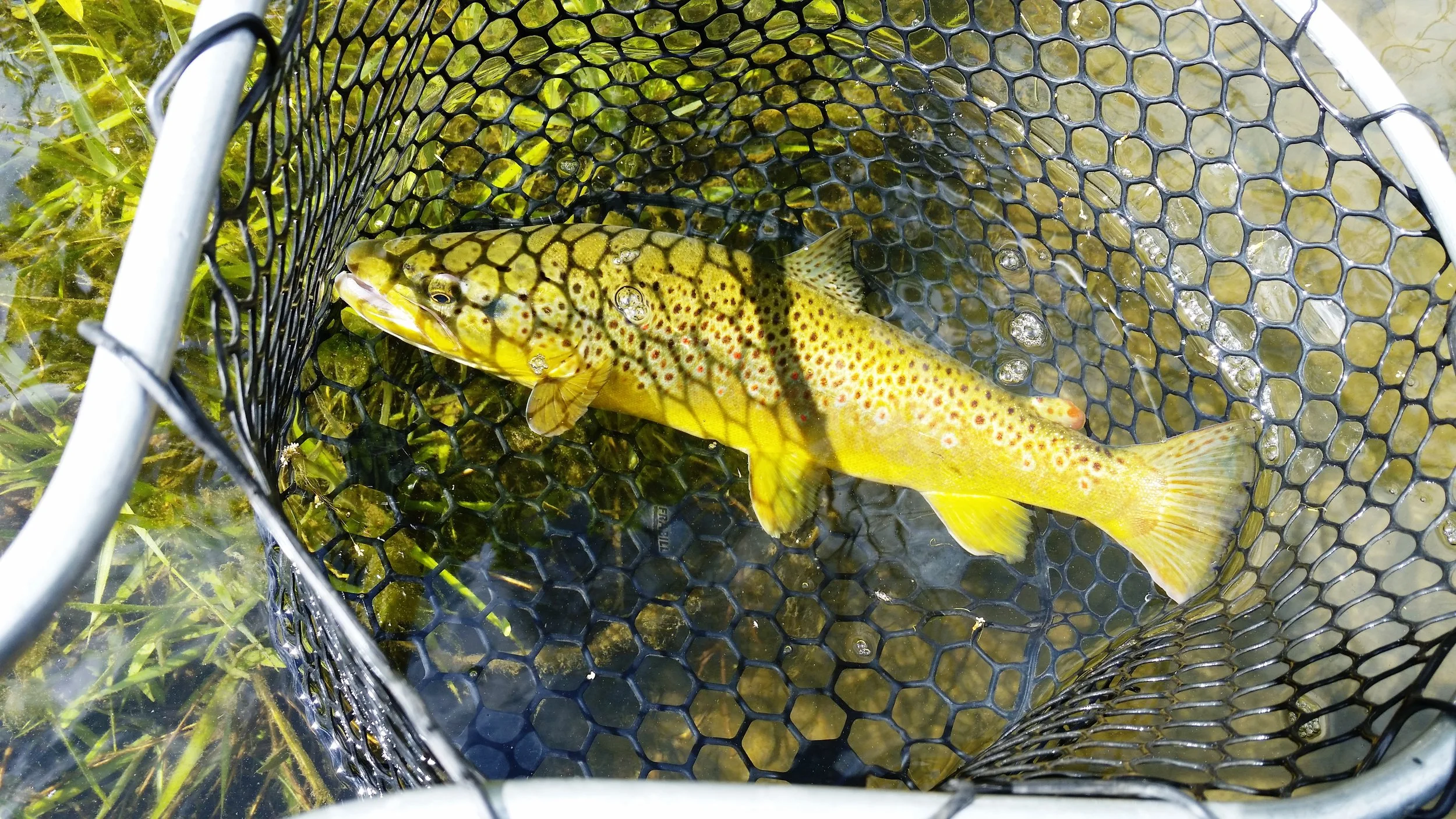 Fishing — ROSCOE, NY