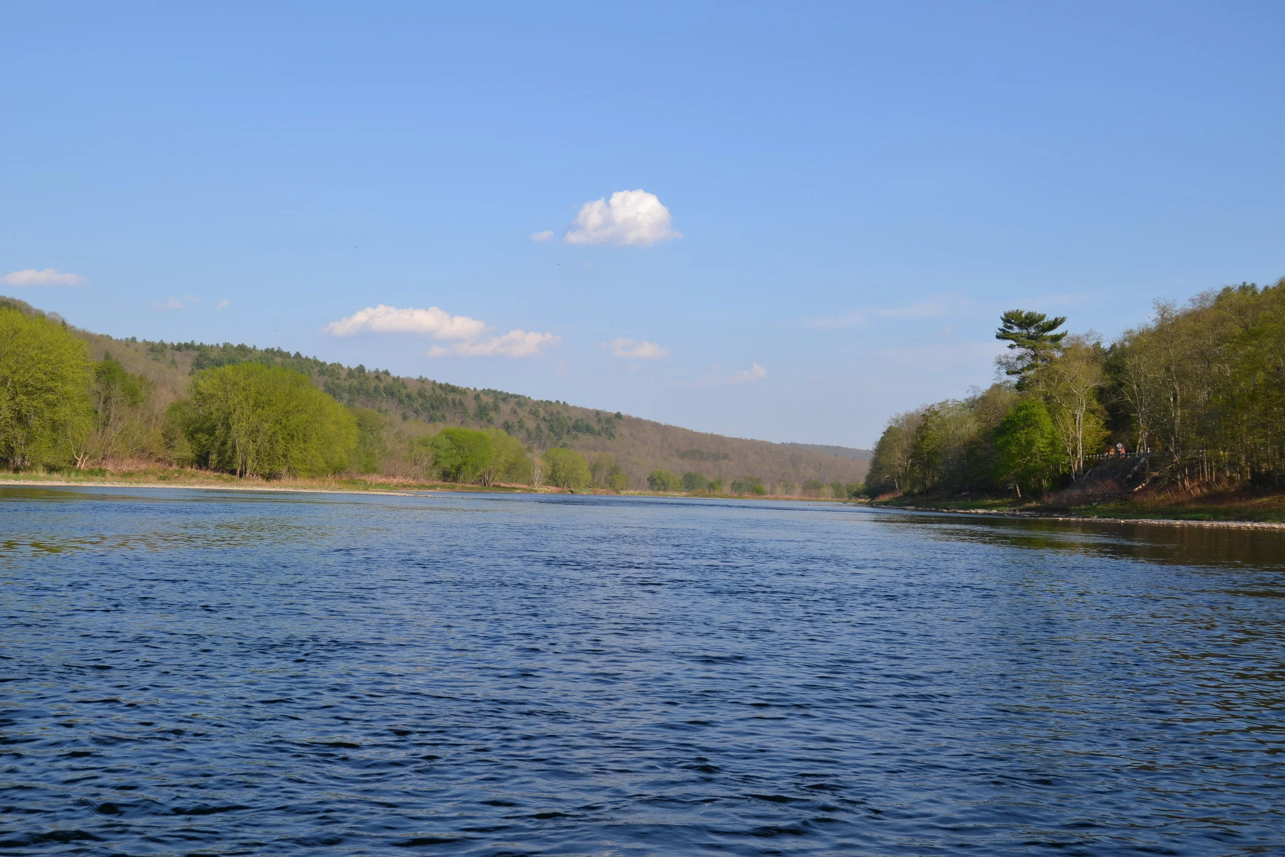 Fishing — ROSCOE, NY