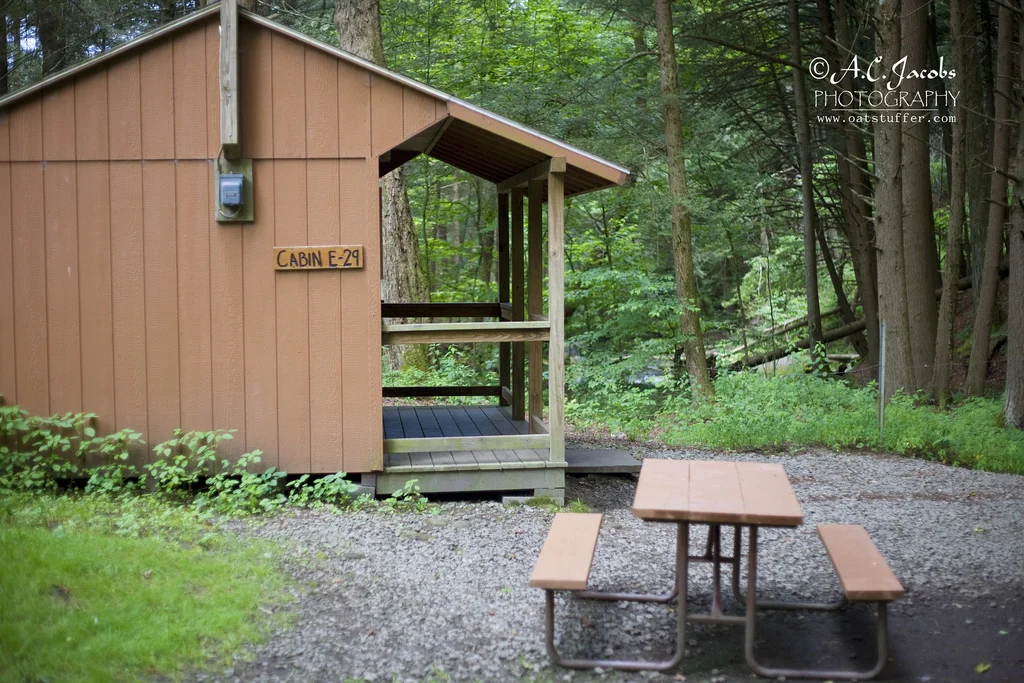 Russell Brook Campsite — ROSCOE, NY