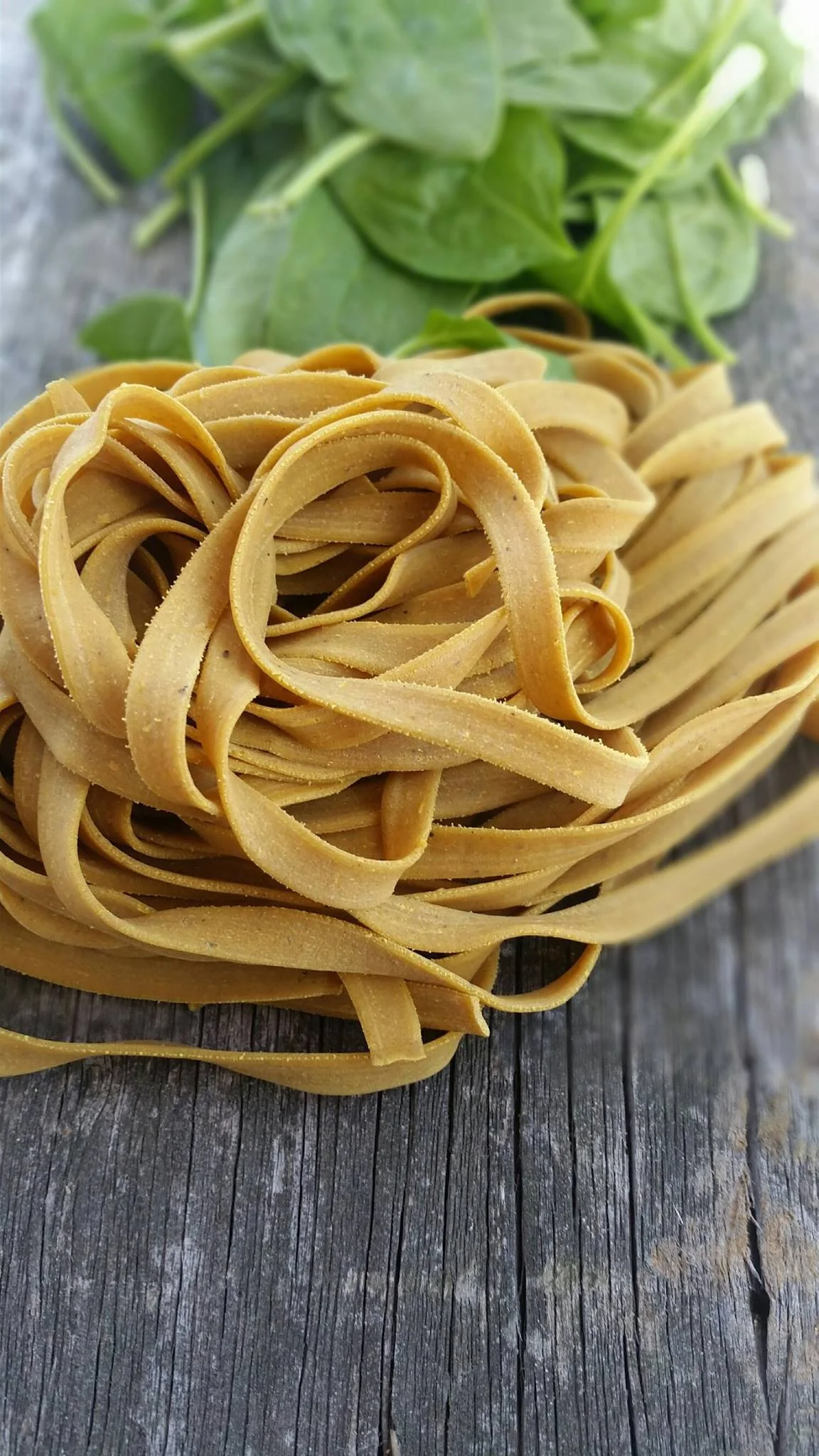 Northern Farmhouse Pasta — ROSCOE, NY