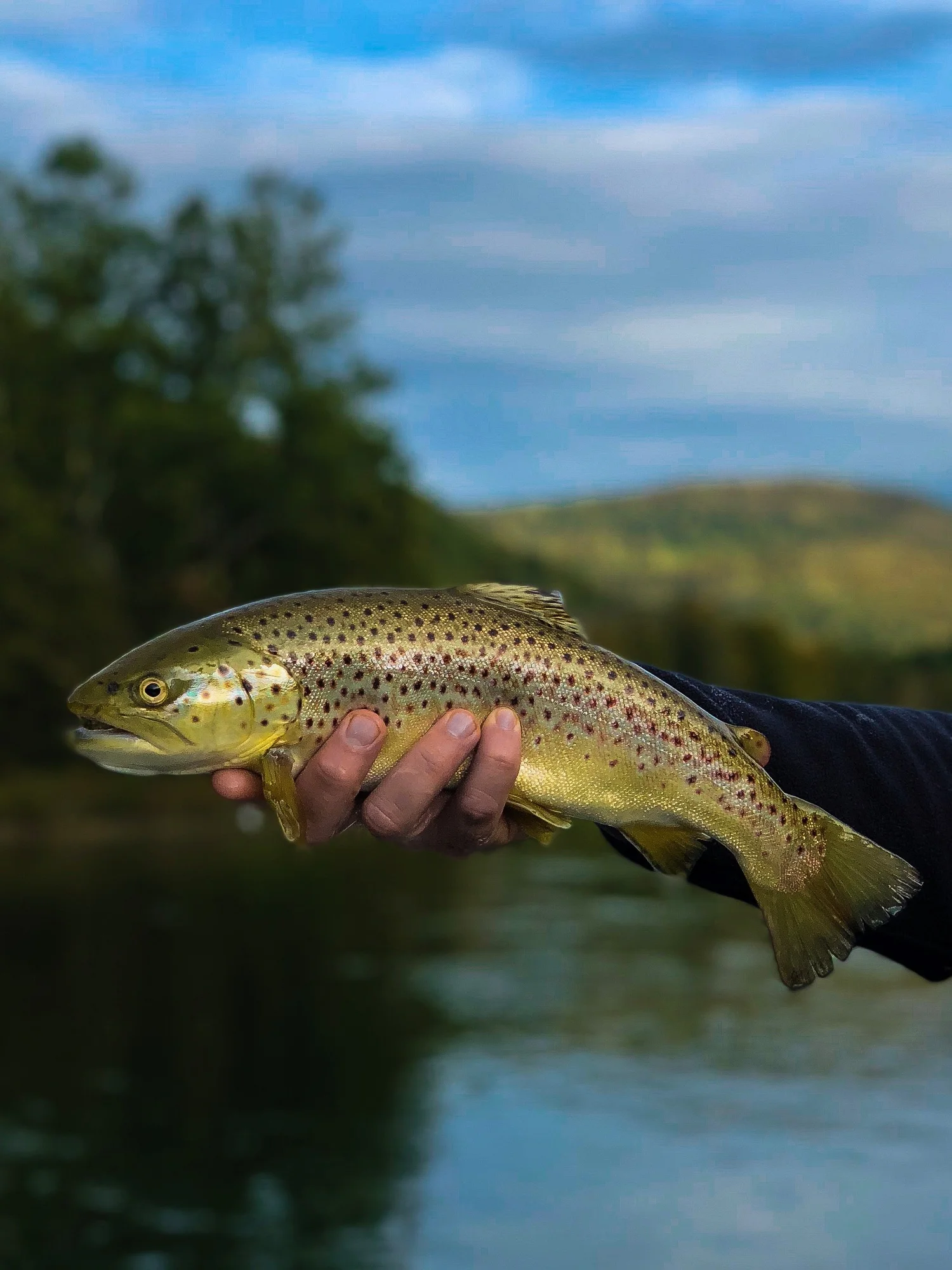 Fishing — ROSCOE, NY