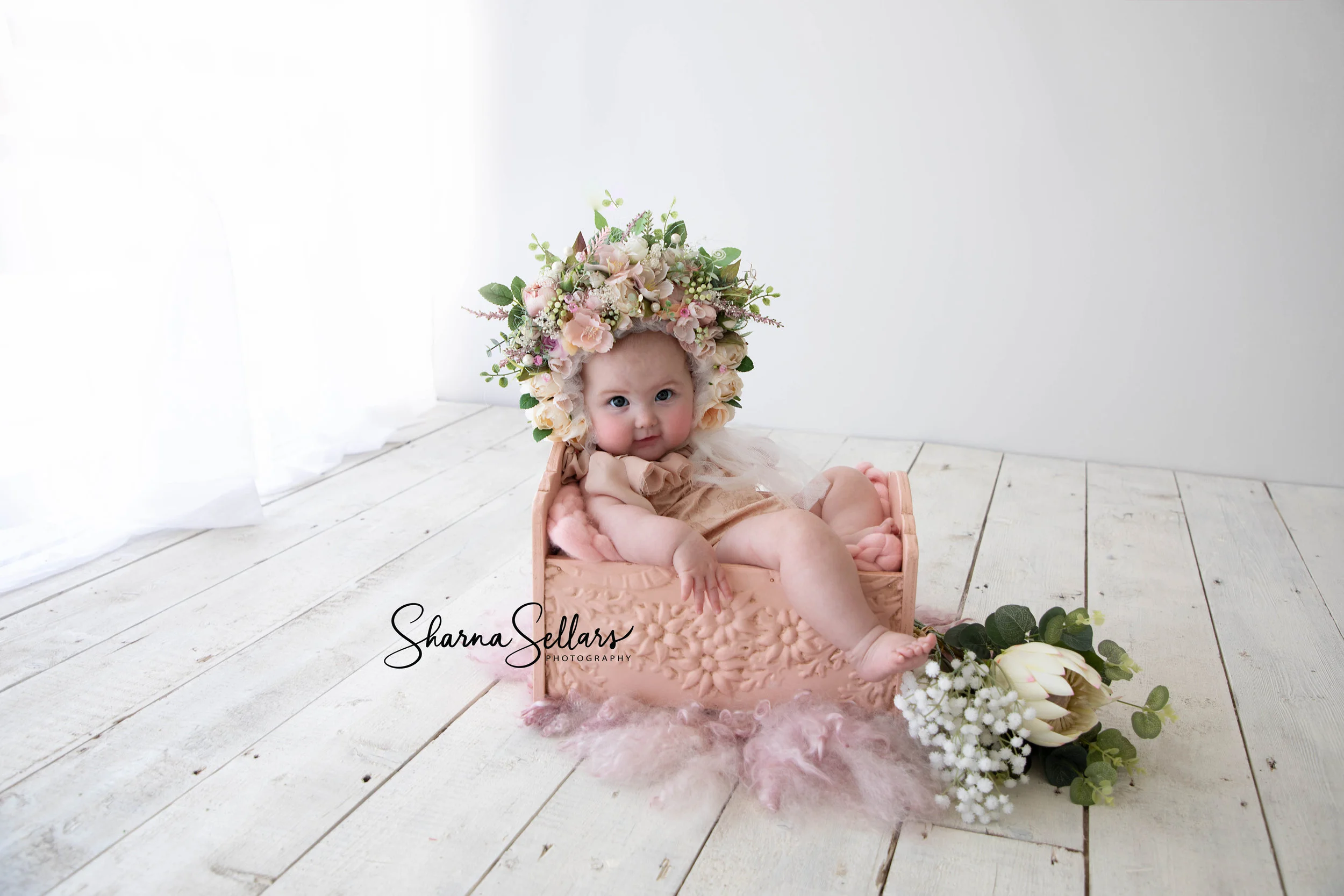 124A1313-Edit2019-02-09 Ivy Sitter session.jpg