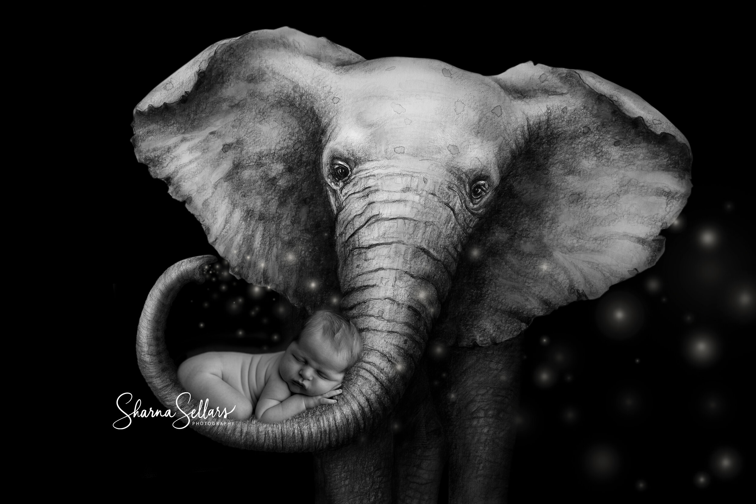 Elephant Newborn Digital Backdrop Prop c.jpg  logo.jpg