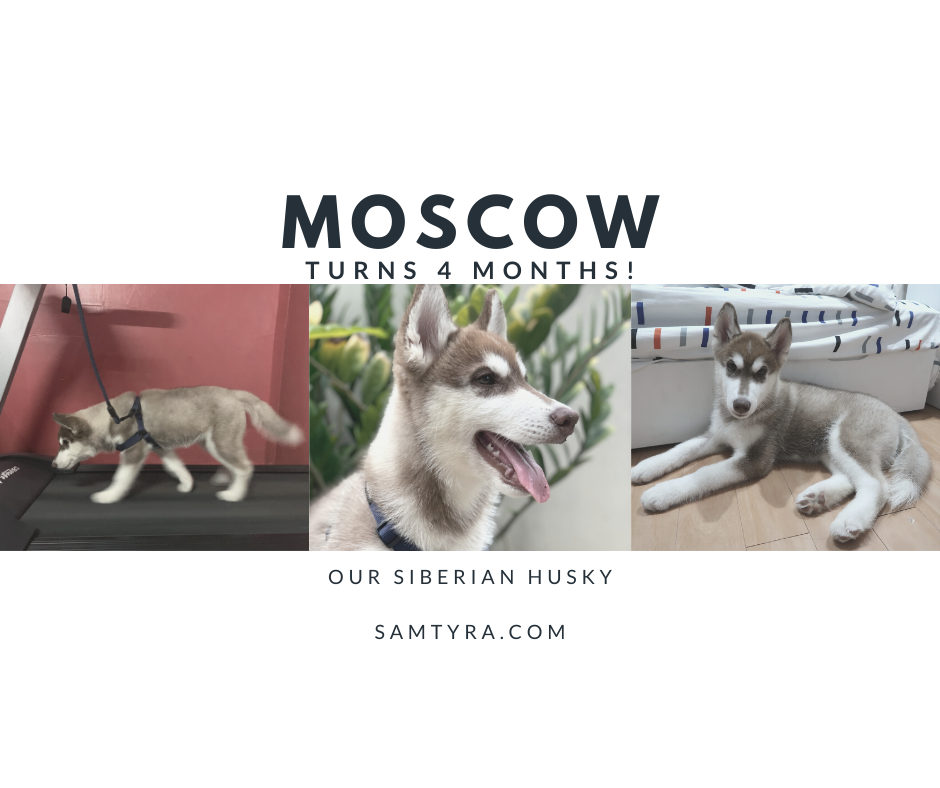 Moscow turns 4 months! - (June 17, 2020)