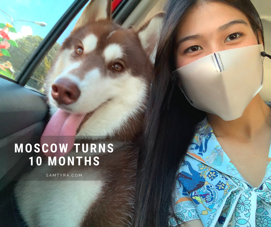 Moscow turns 10 months! (Dec 17, 2020)