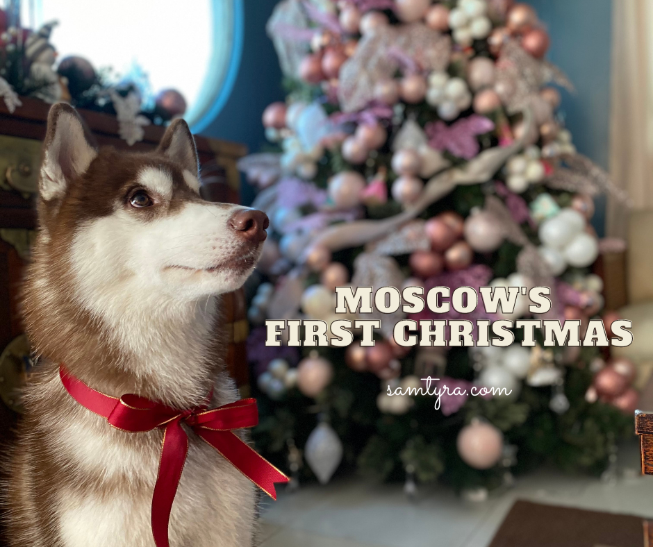 Moscow's first Christmas! ( Dec. 25, 2020)