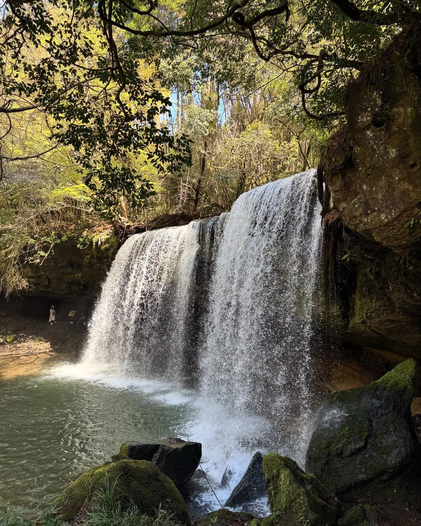 The Japan journey continues. Truly a fabulous adventure!!! #japan #goodfreinds #veryblessed