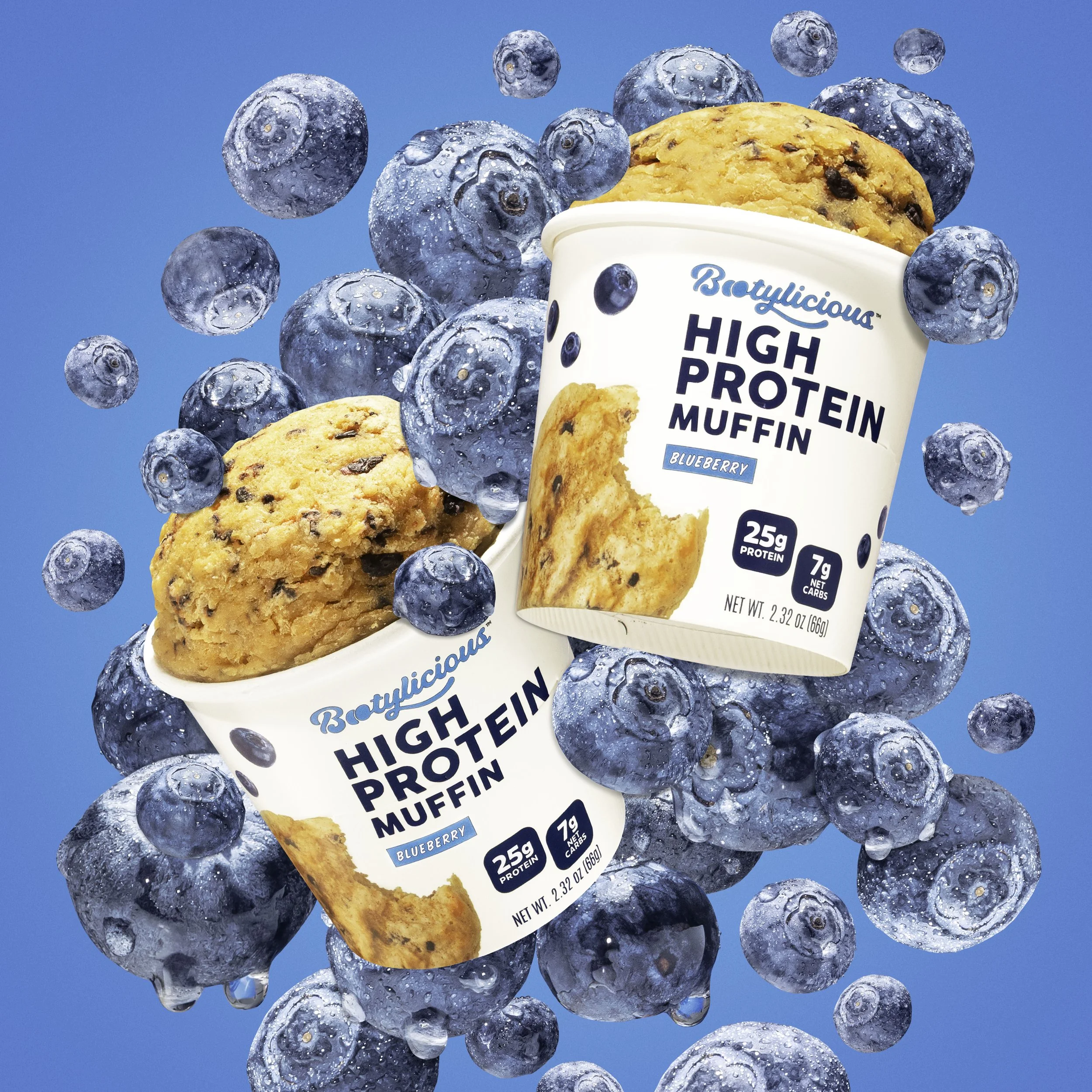 2025 blueberry falling copy.JPG