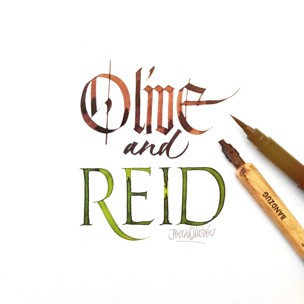 Olive-and-Reid