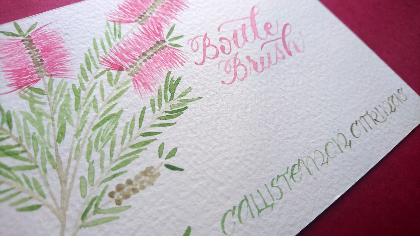 bottle-brush