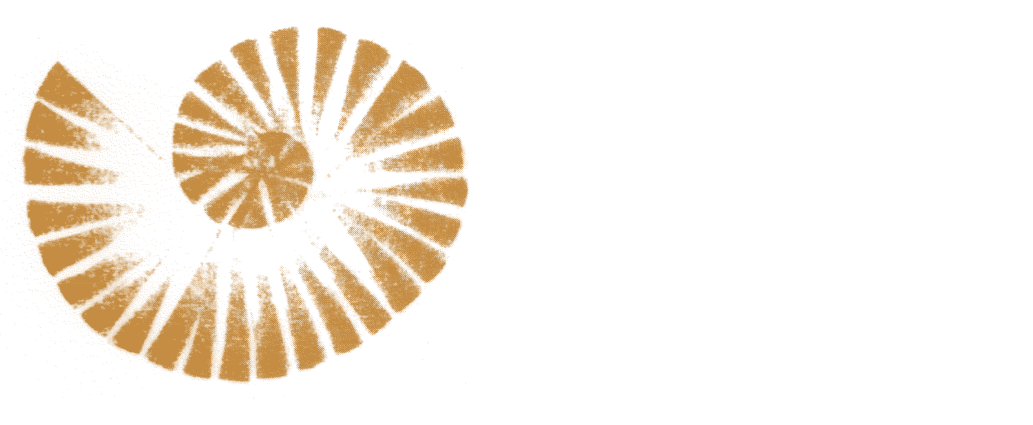Institute for Sensorimotor Art Therapy & School for Initiatic Art Therapy by Cornelia Elbrecht