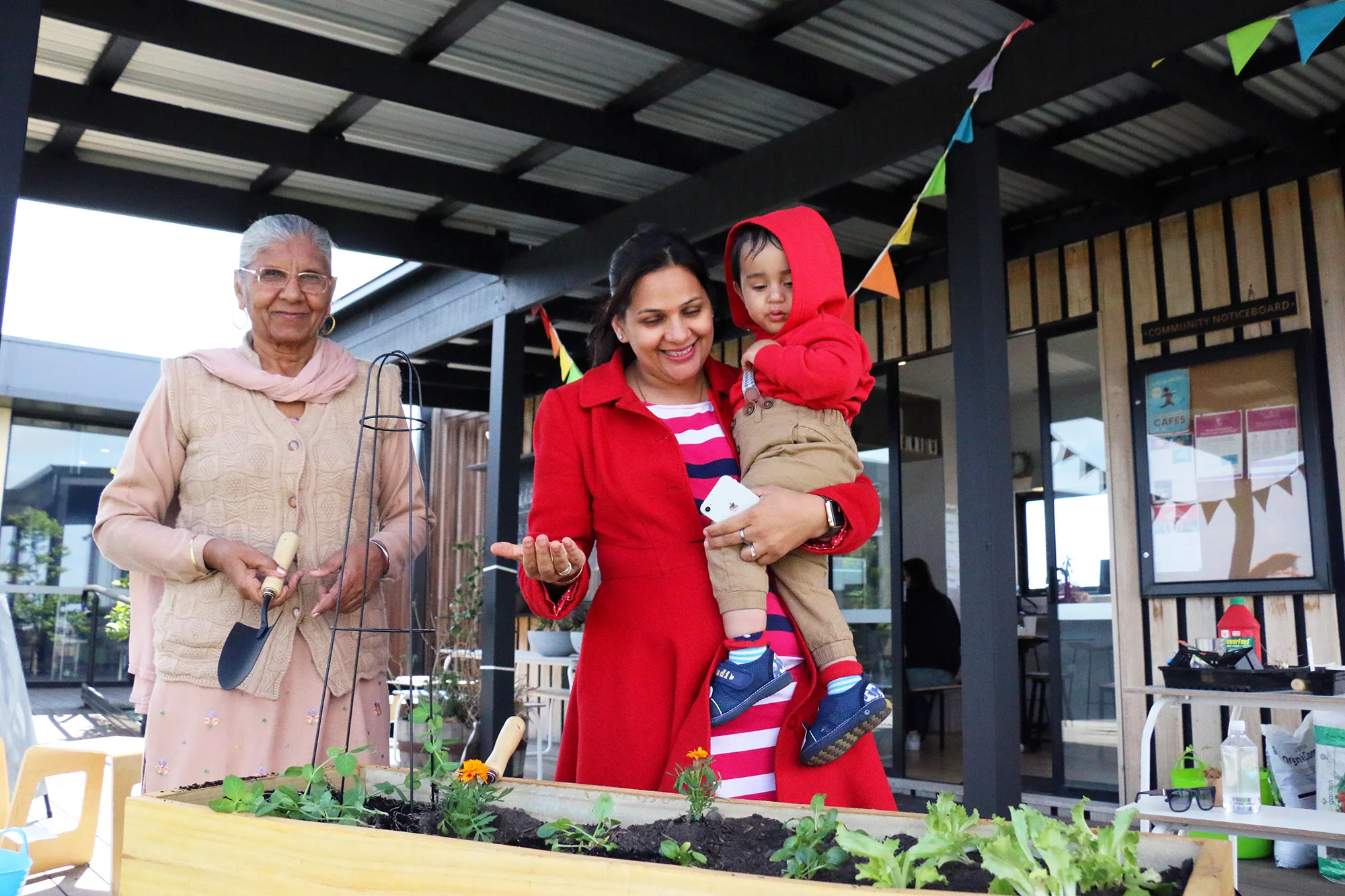 upload-seedling-planting.jpg