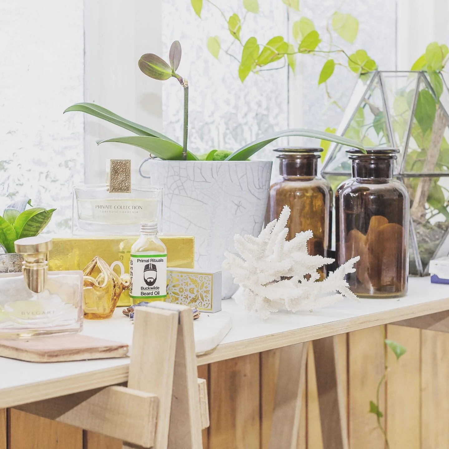 |
Plant sale on now! Easy to care for indoor hanging plants, ferns and kalanchoes loaded up and ready to go at the barn.
⠀⠀⠀⠀⠀⠀⠀⠀⠀
FLORISTのANNIE OがPLANTS SALEを開催中！
オークランド周辺にお住いの方は是非！！
お買い上げ後そのまま飾れるように素敵な鉢や花瓶に
仕上げているものもあるので、手間なく
お部屋の雰囲気を変えることができてオススメで