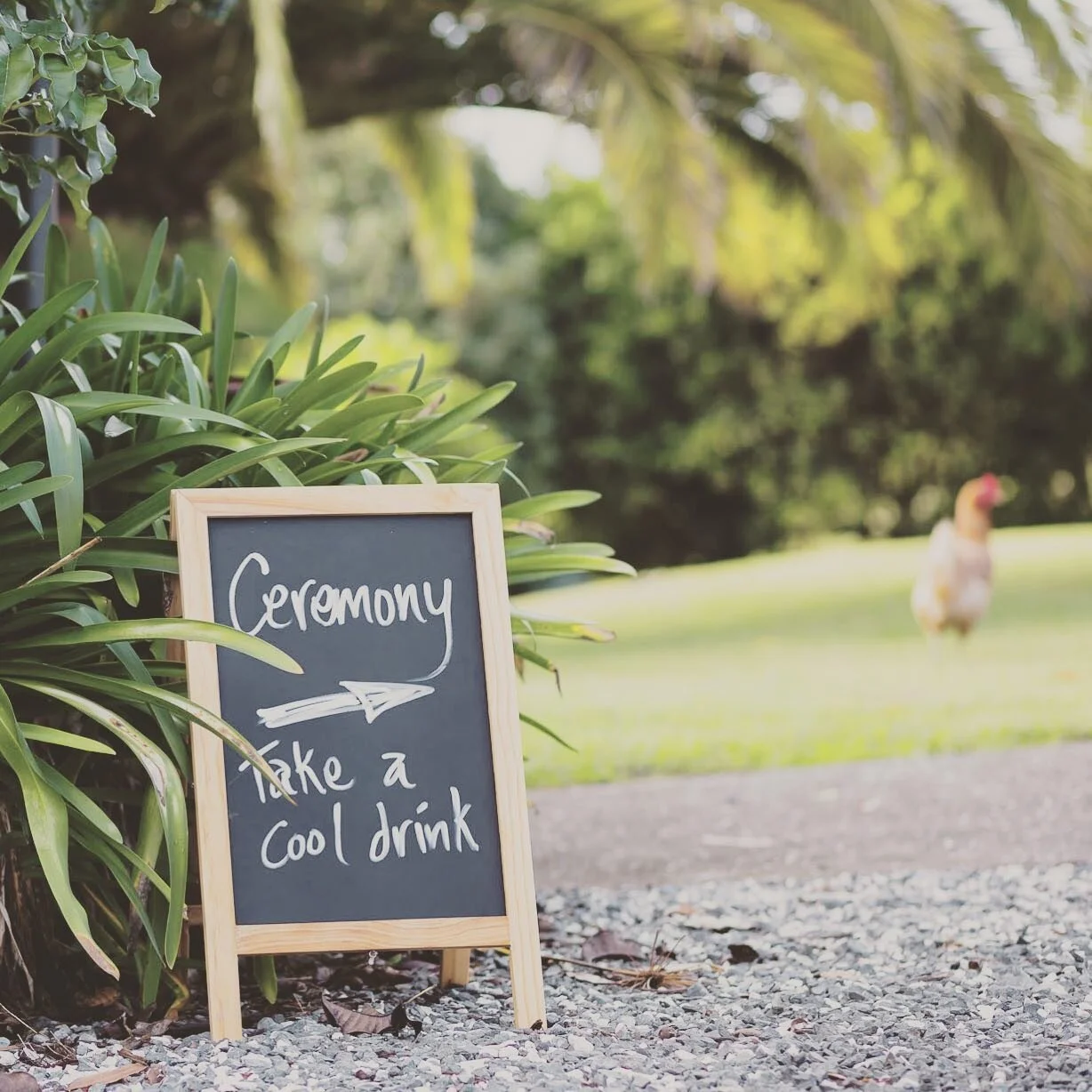 |
Weddings and events in New Zealand are currently under restriction due to COVID-19 but we are keeping ourselves busy tending to the garden and keeping the place looking fantastic.

Although planning ahead and trying to pin down a date during the cu