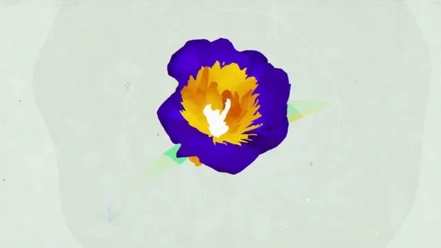 Jeonju Film Festival 2017