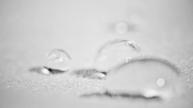 Converse Shield Canvas