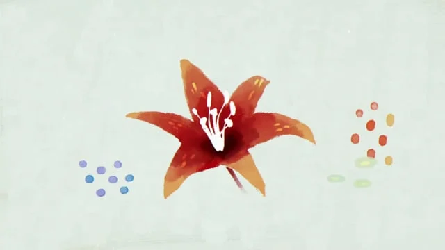 Jeonju Film Festival 2017