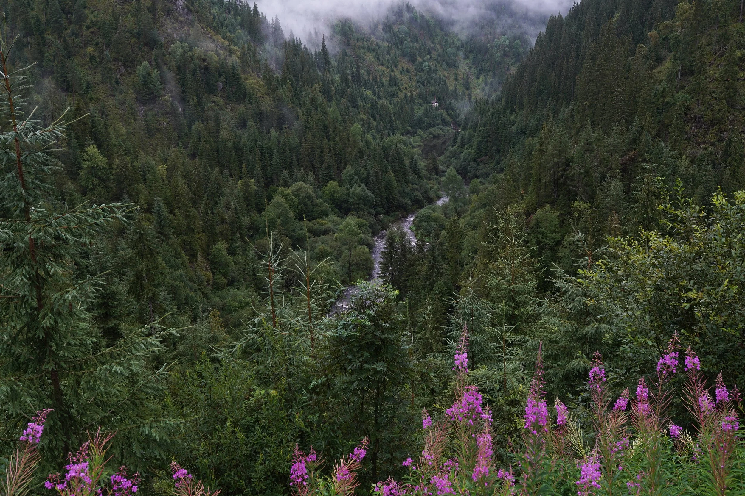 skDSC07577.jpg