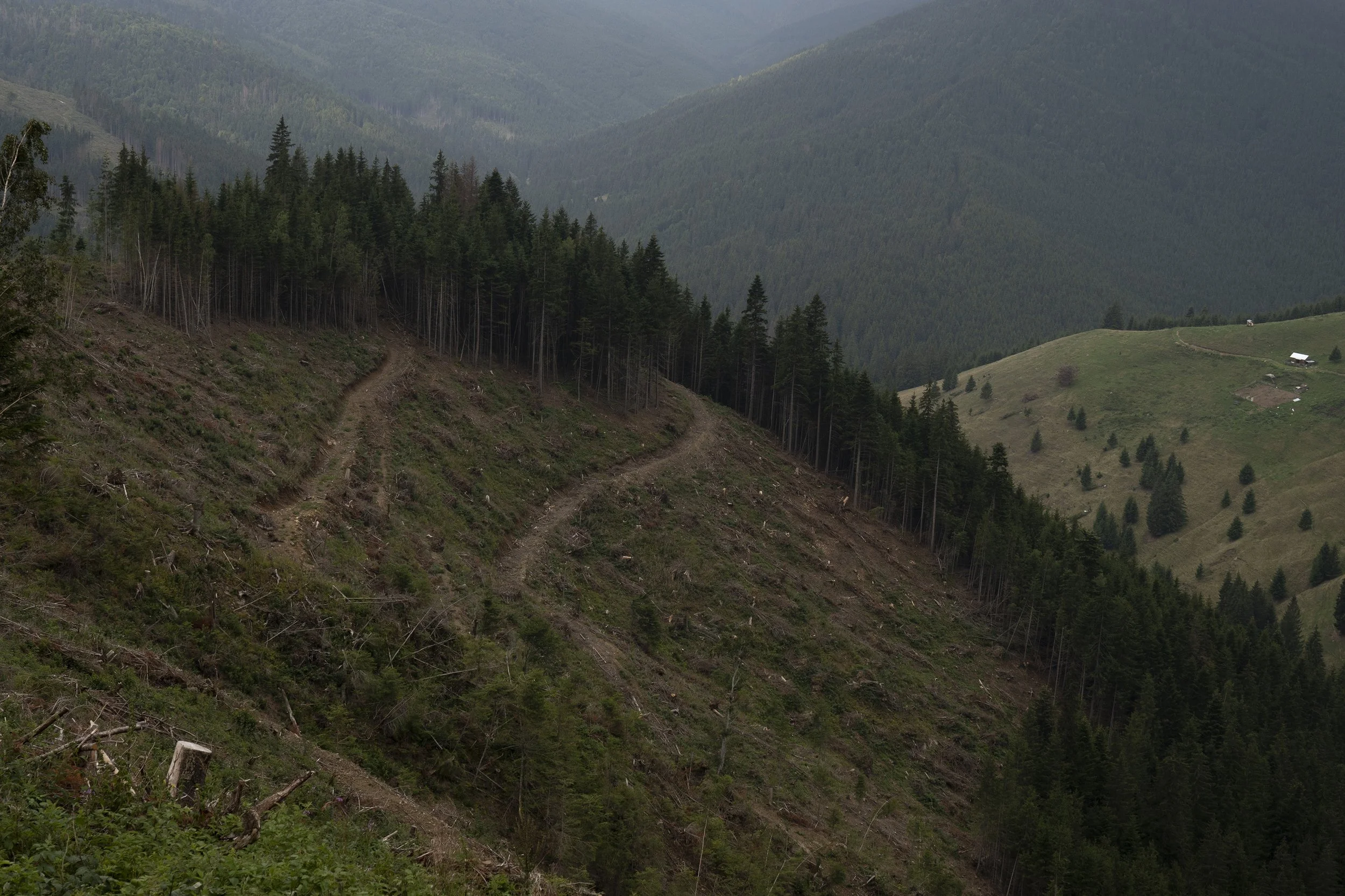 Deforestation in Romania 
