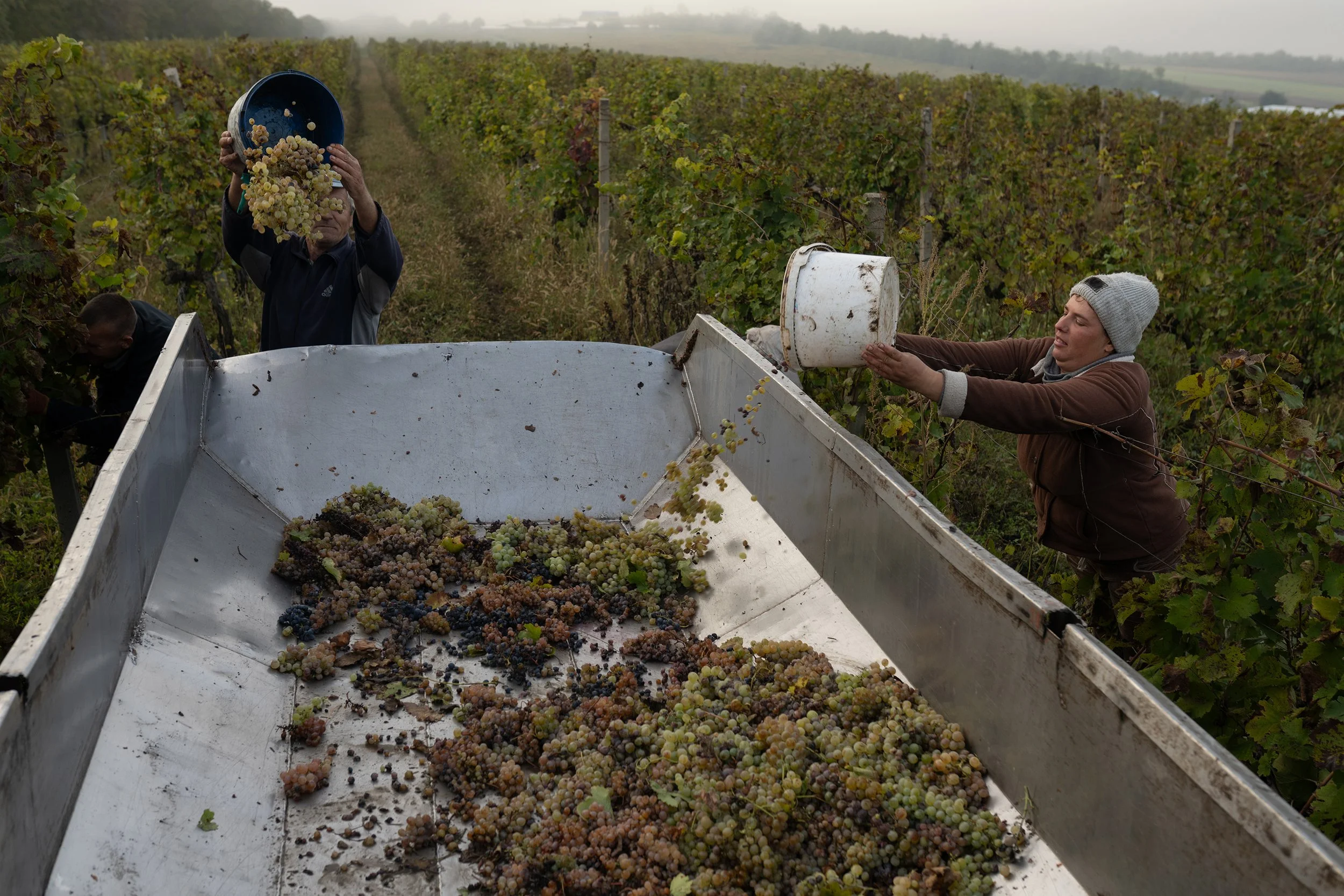 sACMoldovaWinery038.jpg