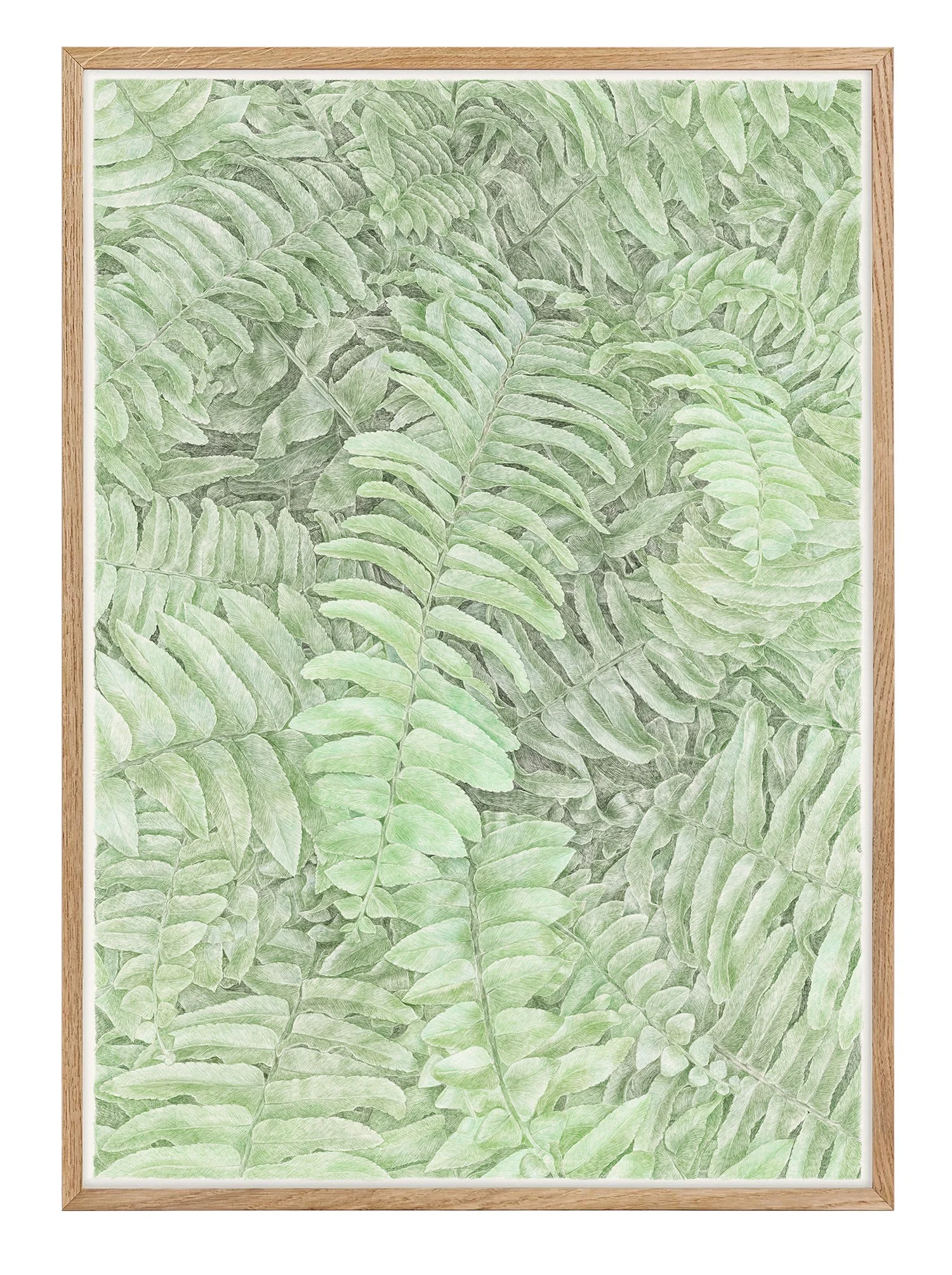 frame_new8.jpg