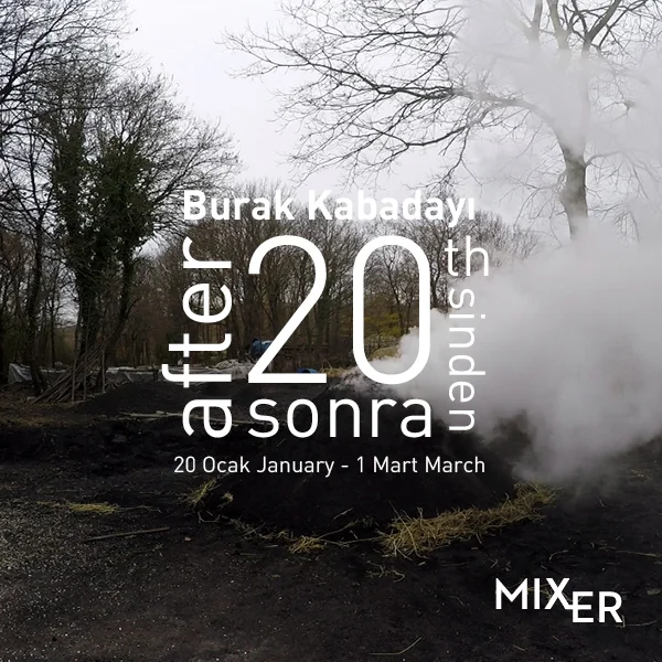 20’sinden Sonra (2017) İstanbul’un kuzeybatısında bulunan orman köylerinden birinde, biyolojik kömürün üretim sürecinin kayıt altına alınmasıyla oluşturulan proje, tek bir ağaçtan yola çıkıyor. Sanatçı, tek bir ağacın hikayesi üzerinden giderek kurguladığı analojide, temsiliyet halinin aşamalarını ifşa ediyor.