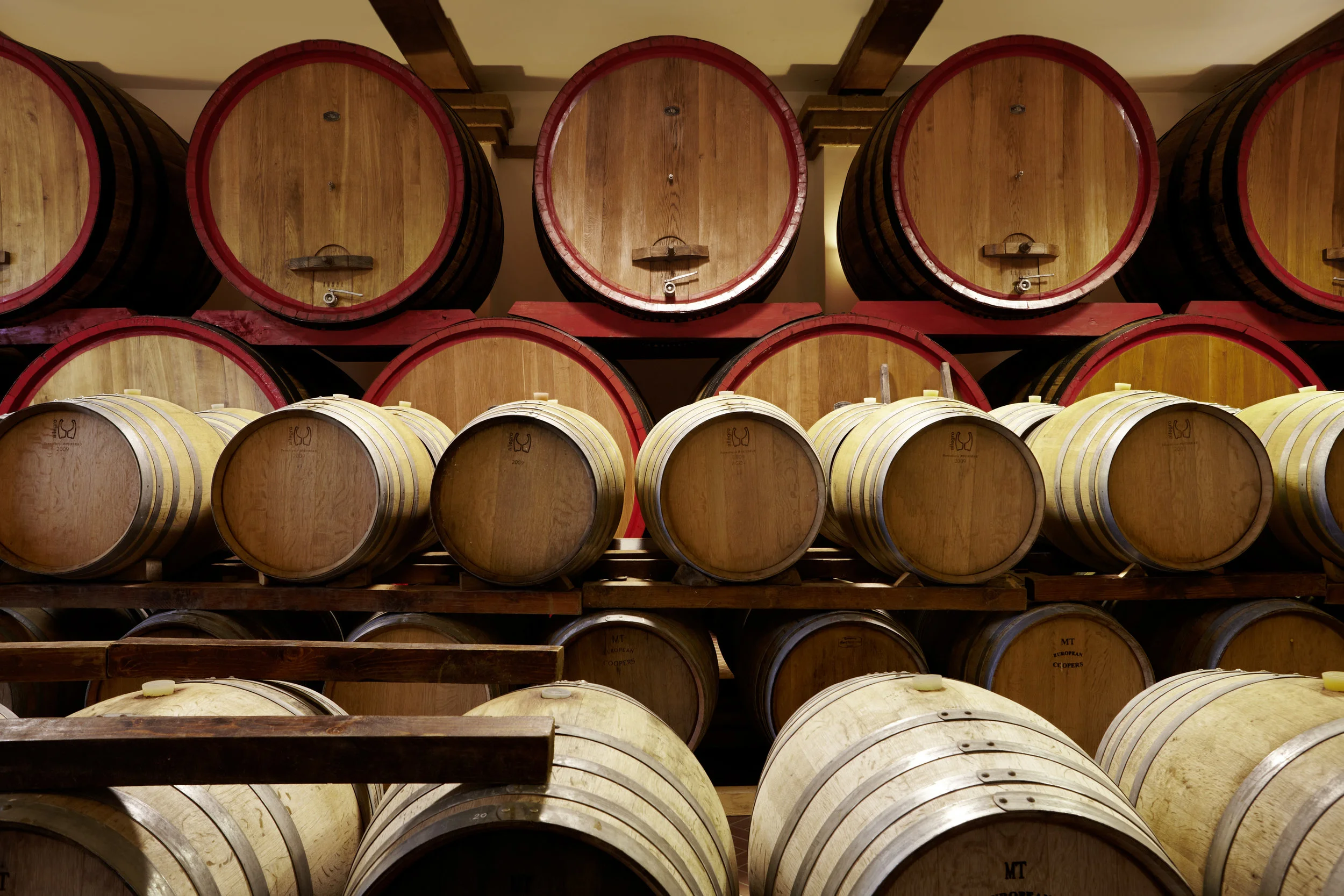 Villa_Matilde_Cantina_II_MG_0443.jpg