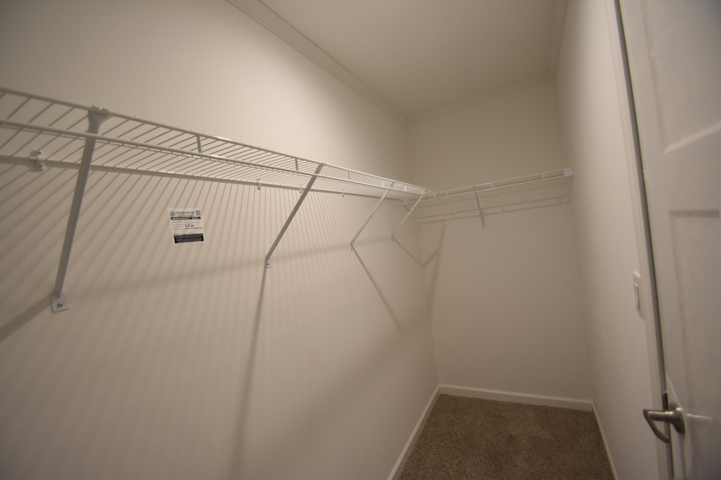 DSC_0233.jpeg