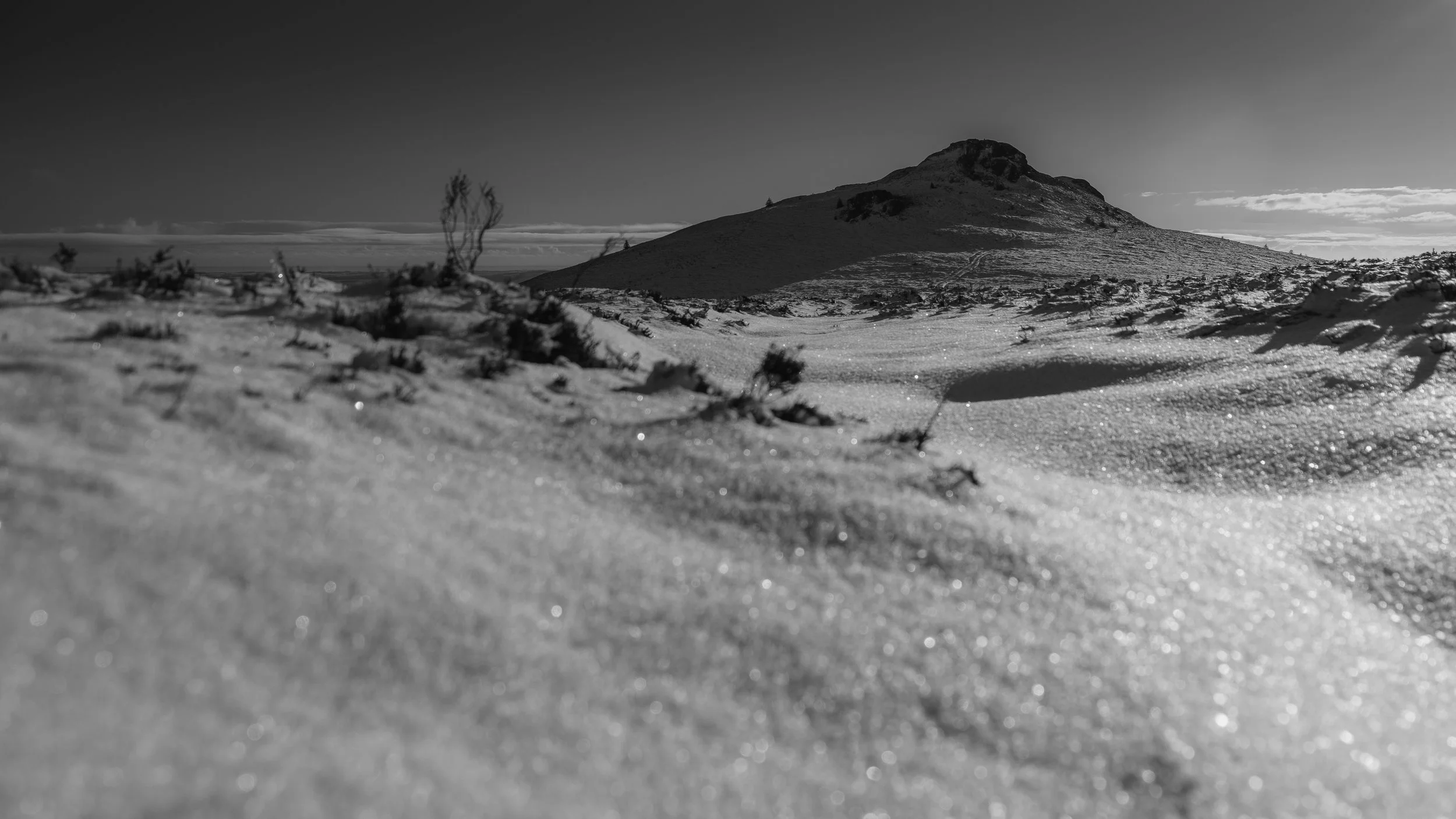 A touch of frost