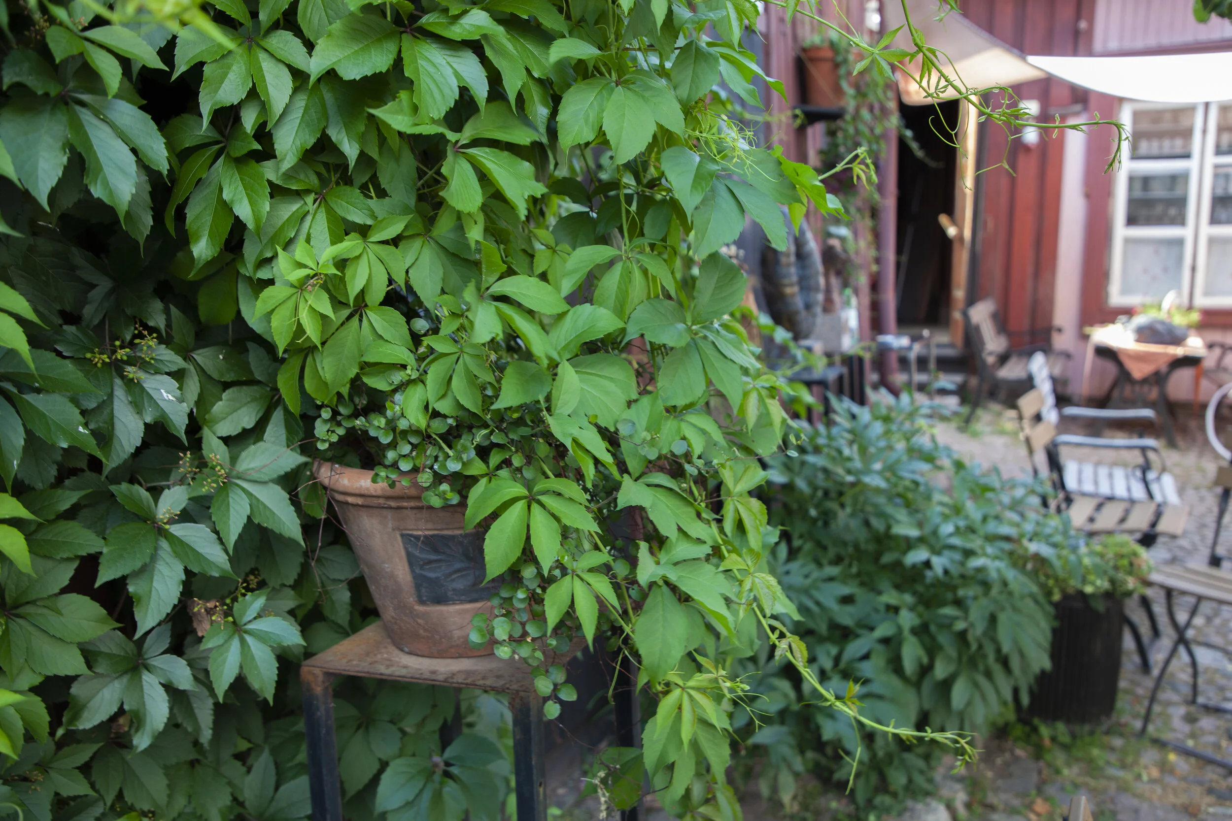 Tuhannen tuskan kahvila_Madicken21_62.JPG