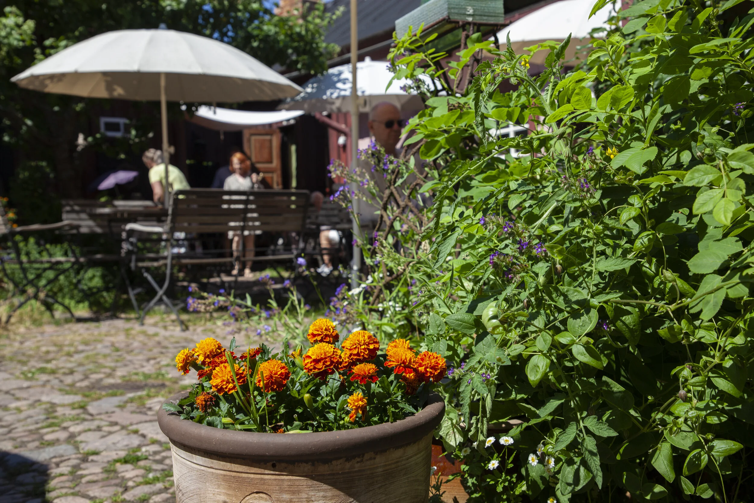 Tuhannentuskan kahvila_Roosa21_5.JPG