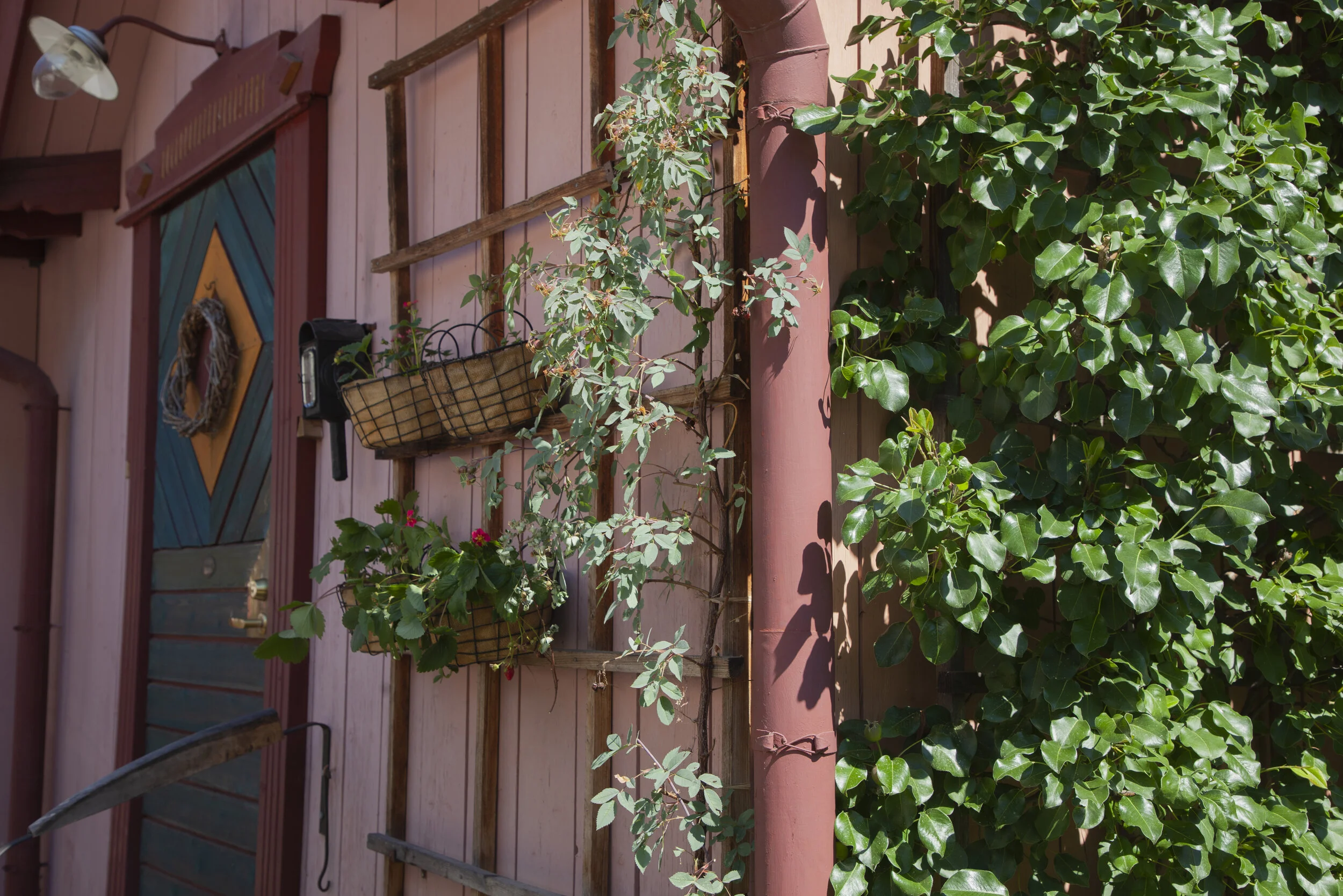 Tuhannentuskan kahvila_Roosa21.JPG